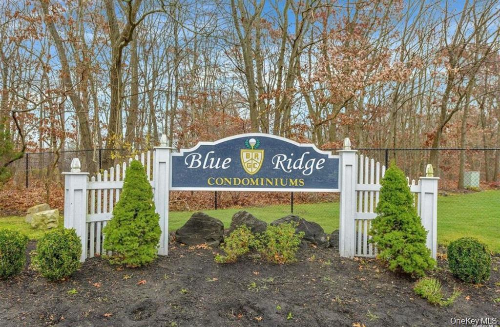 577 Blue Ridge Drive Property Photo 35