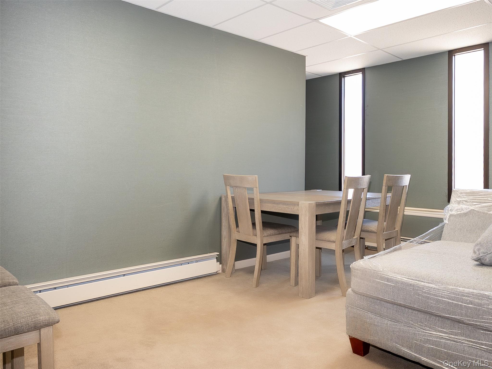 215 Willis Avenue 1st Fl Property Photo 9