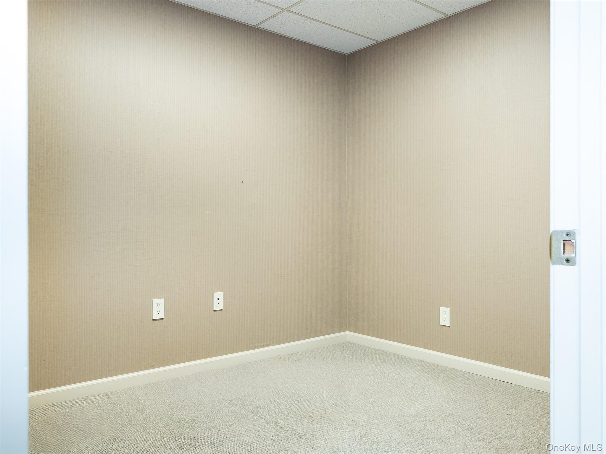 215 Willis Avenue 1st Fl Property Photo 11