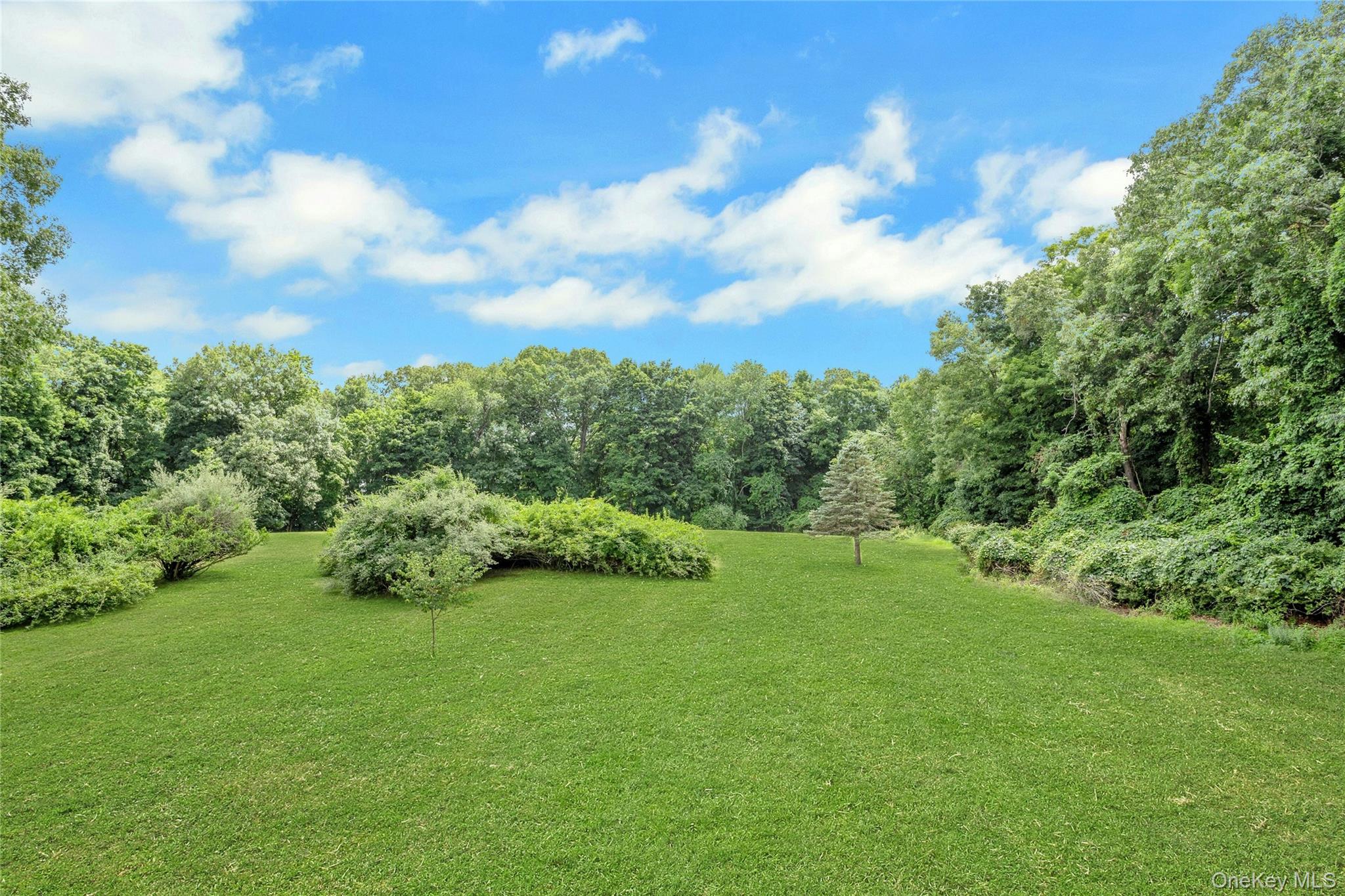 202 Vista On The Lake Property Photo 15