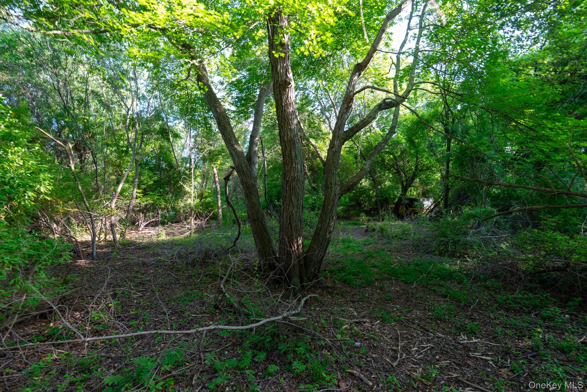 357 Smithtown Boulevard Property Photo 39