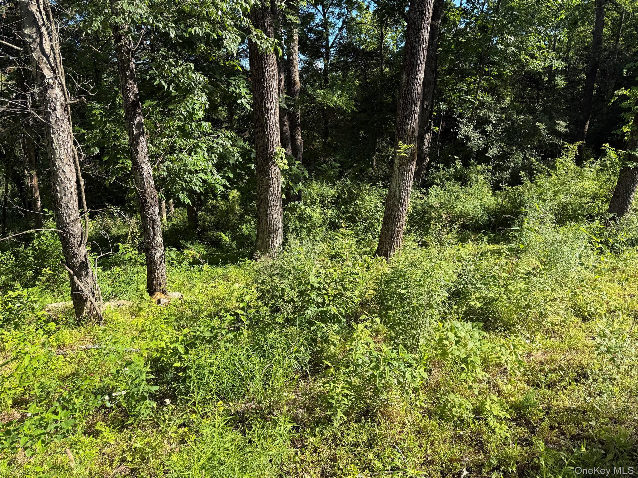 5 Walnut Hill Road Property Photo 10