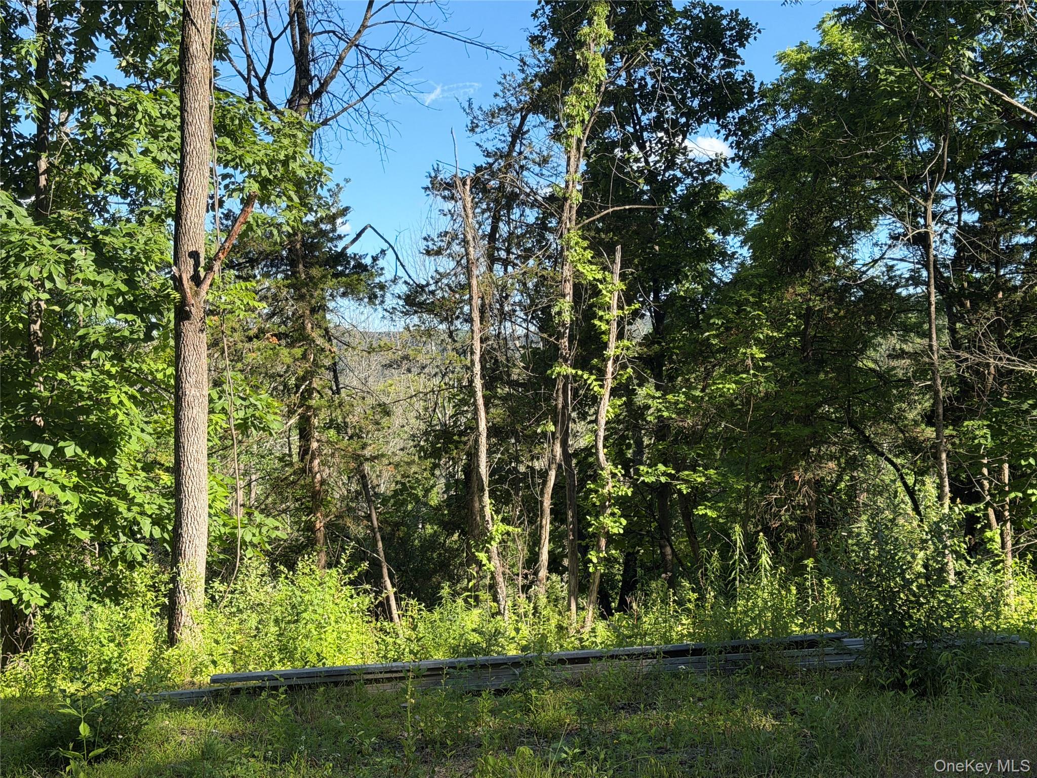 5 Walnut Hill Road Property Photo 11
