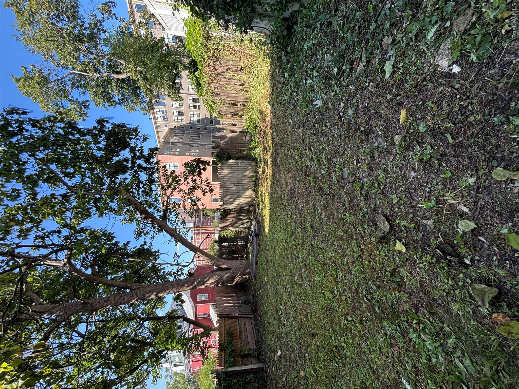 185 Union Street 1 Property Photo 14