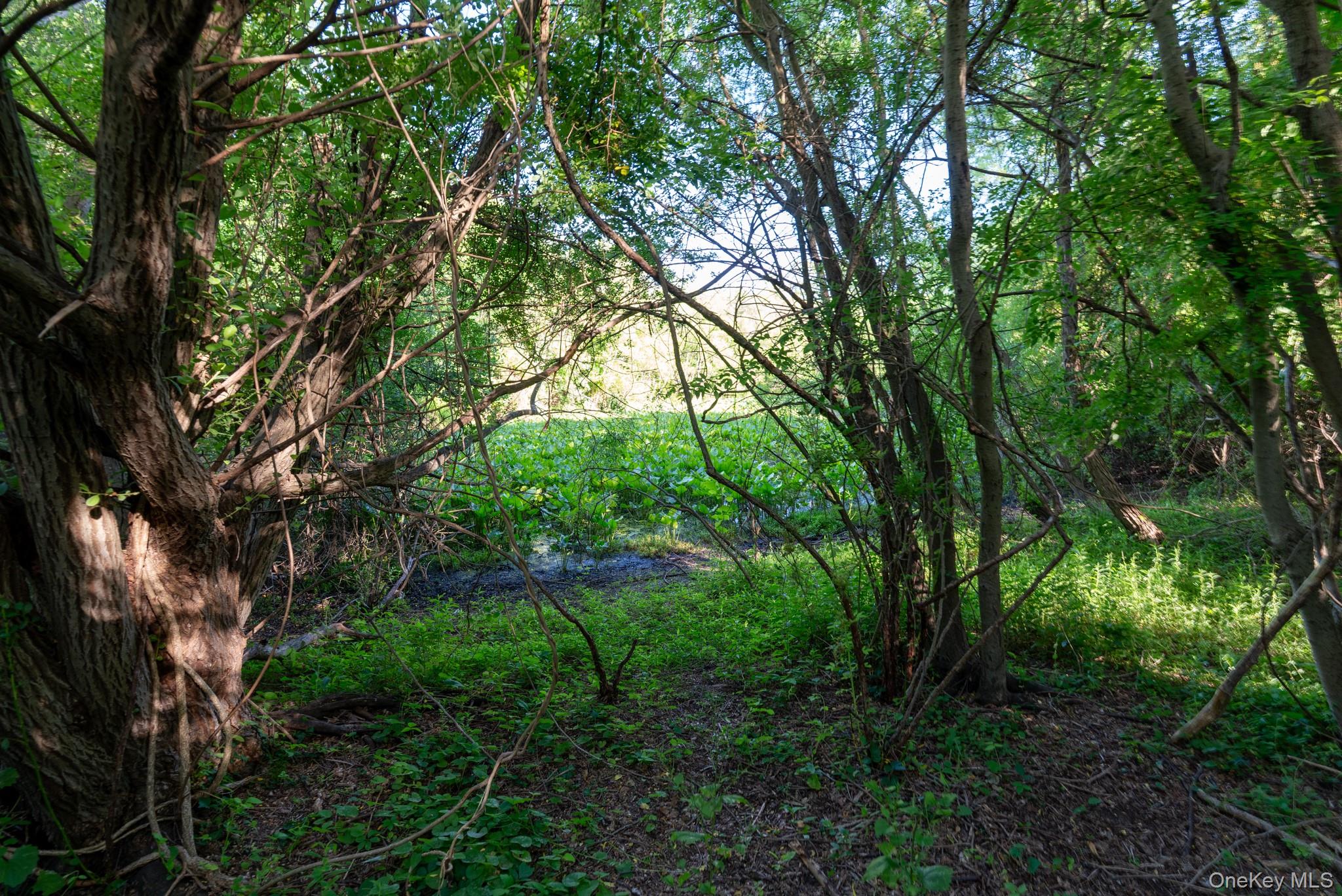 357 Smithtown Boulevard Property Photo 41
