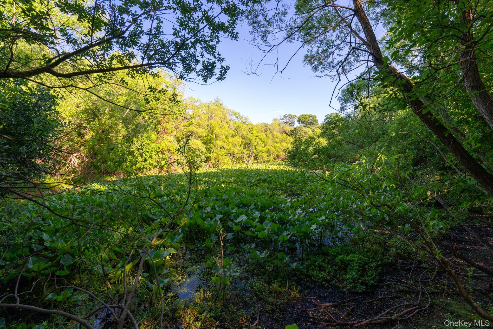 357 Smithtown Boulevard Property Photo 43