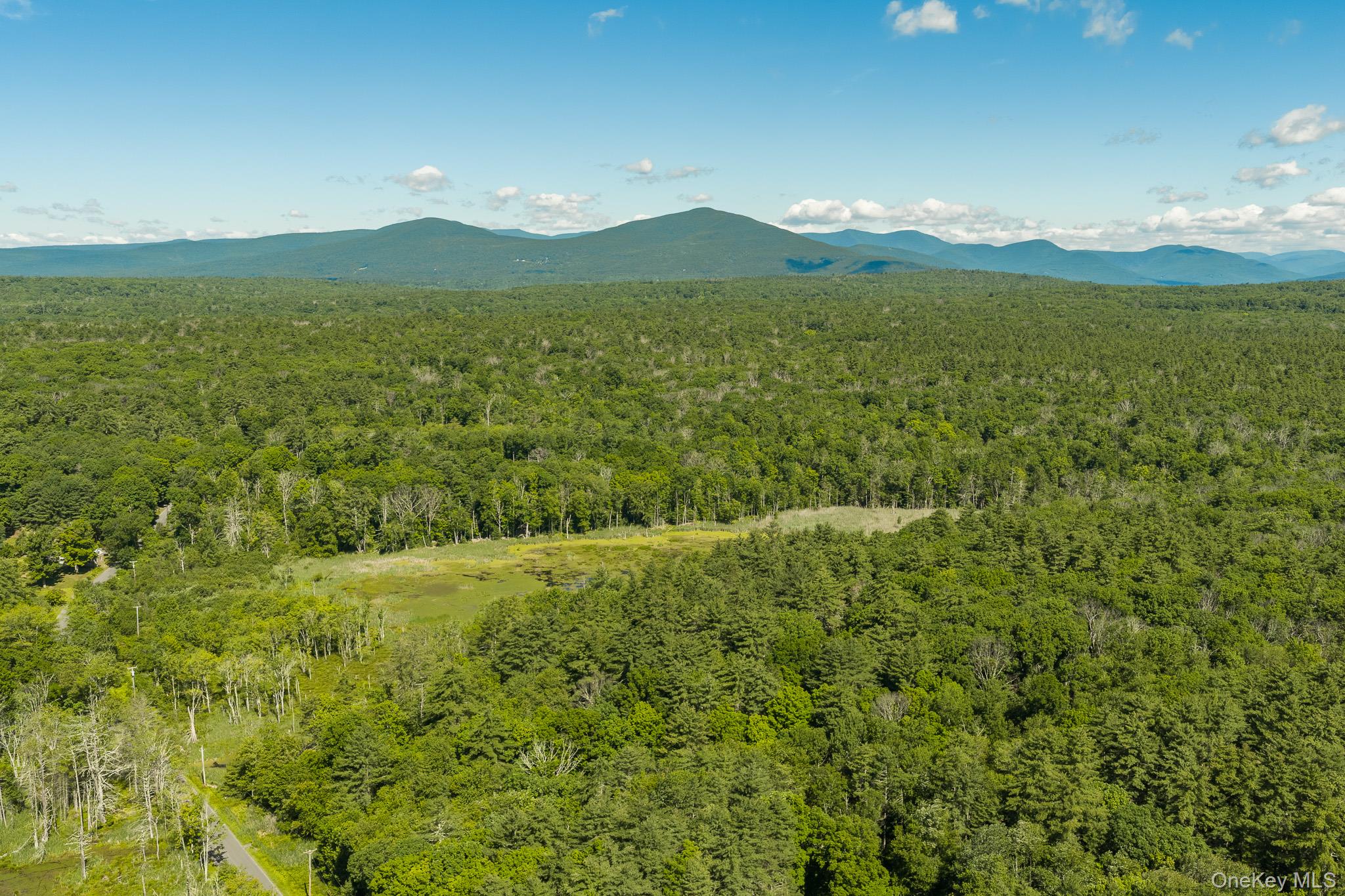 Tbd Buck Road Property Photo 1
