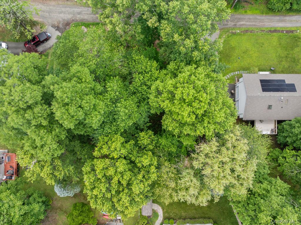 6 Rockland Avenue Property Photo 10