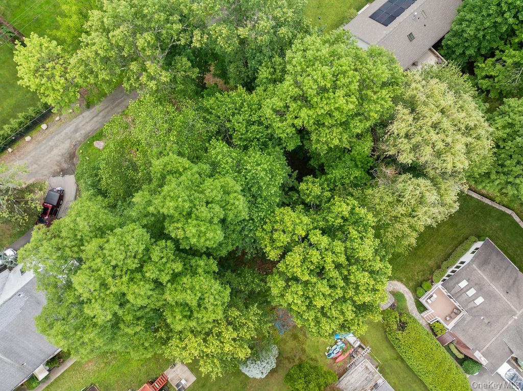 6 Rockland Avenue Property Photo 11