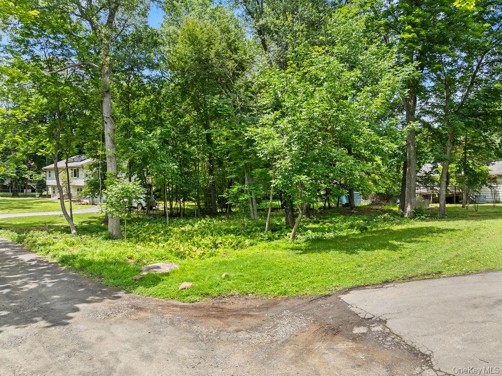 6 Rockland Avenue Property Photo 15