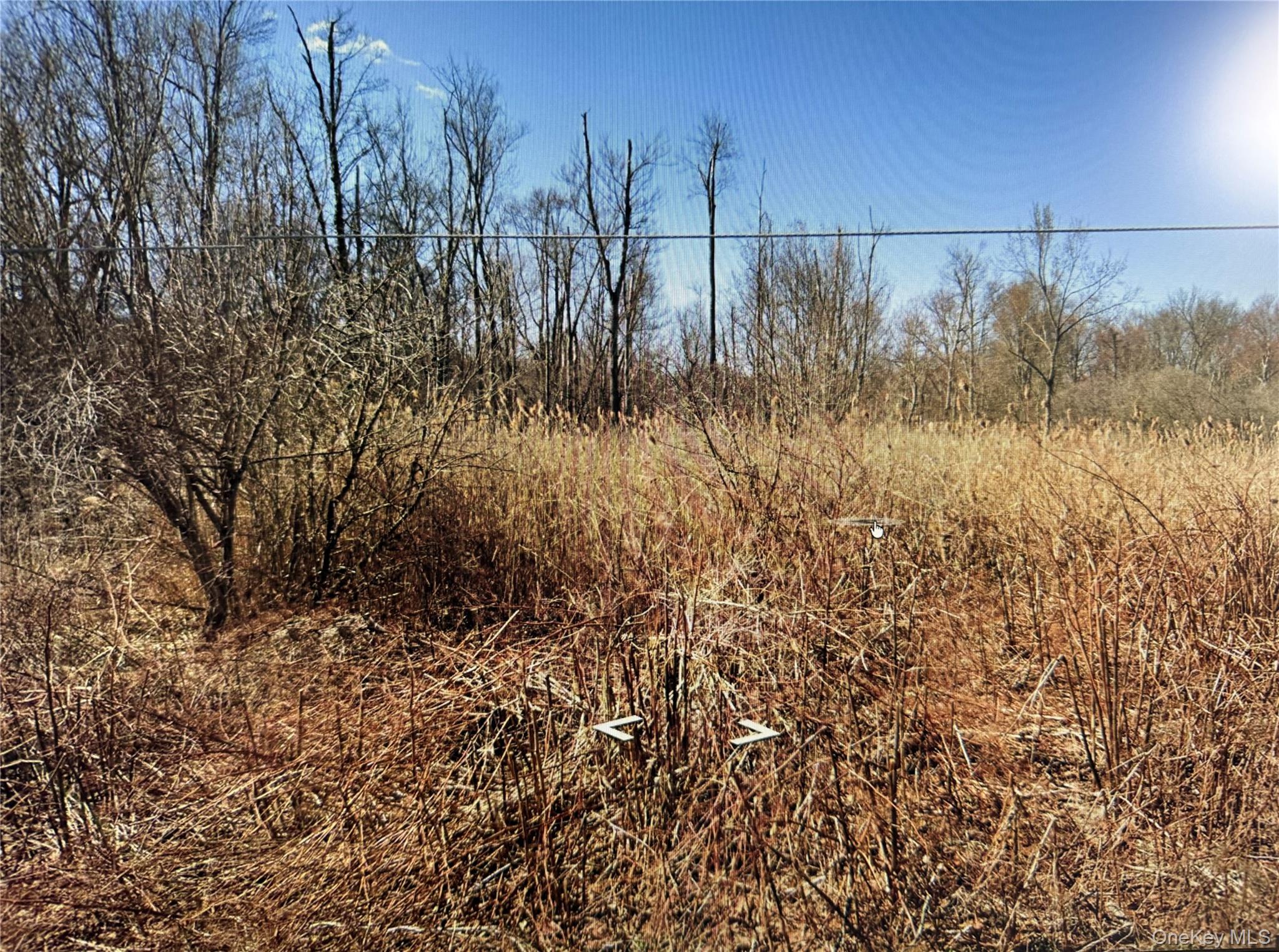 Clove Road Property Photo 1