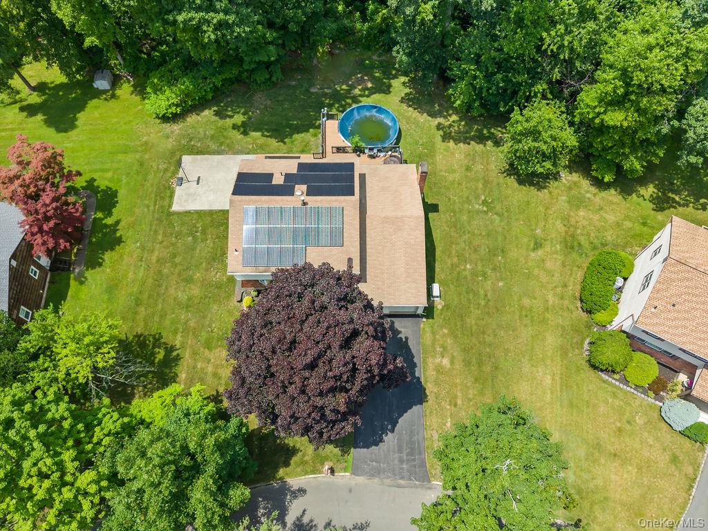 9 Amherst Road Property Photo 37