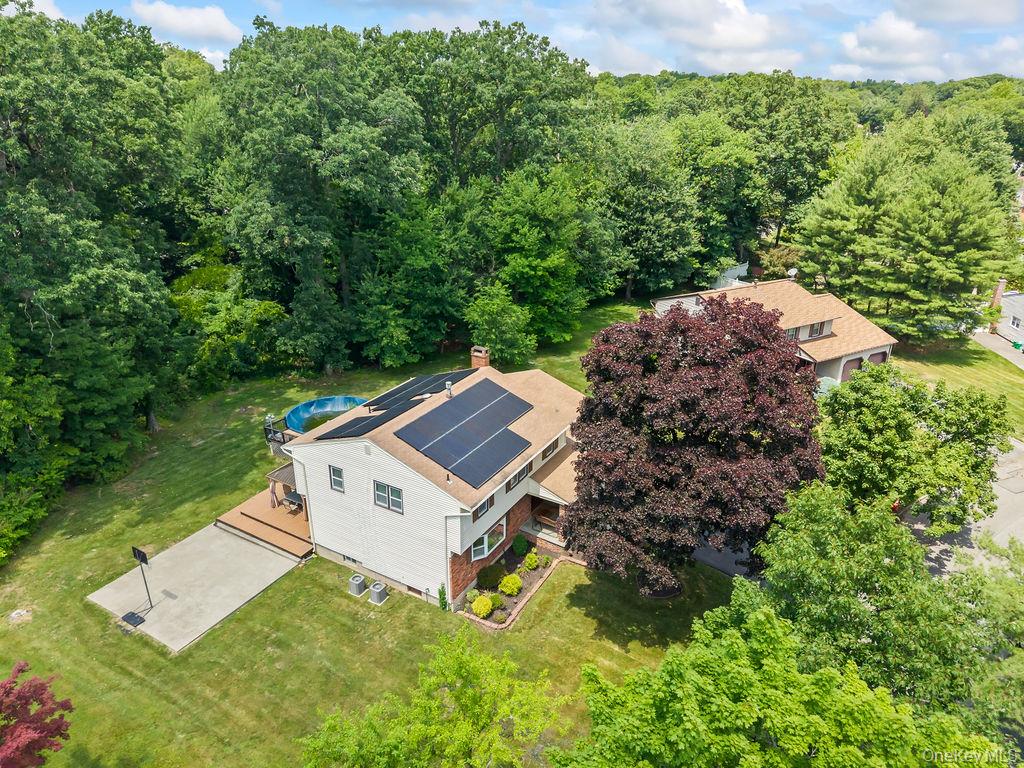 9 Amherst Road Property Photo 39