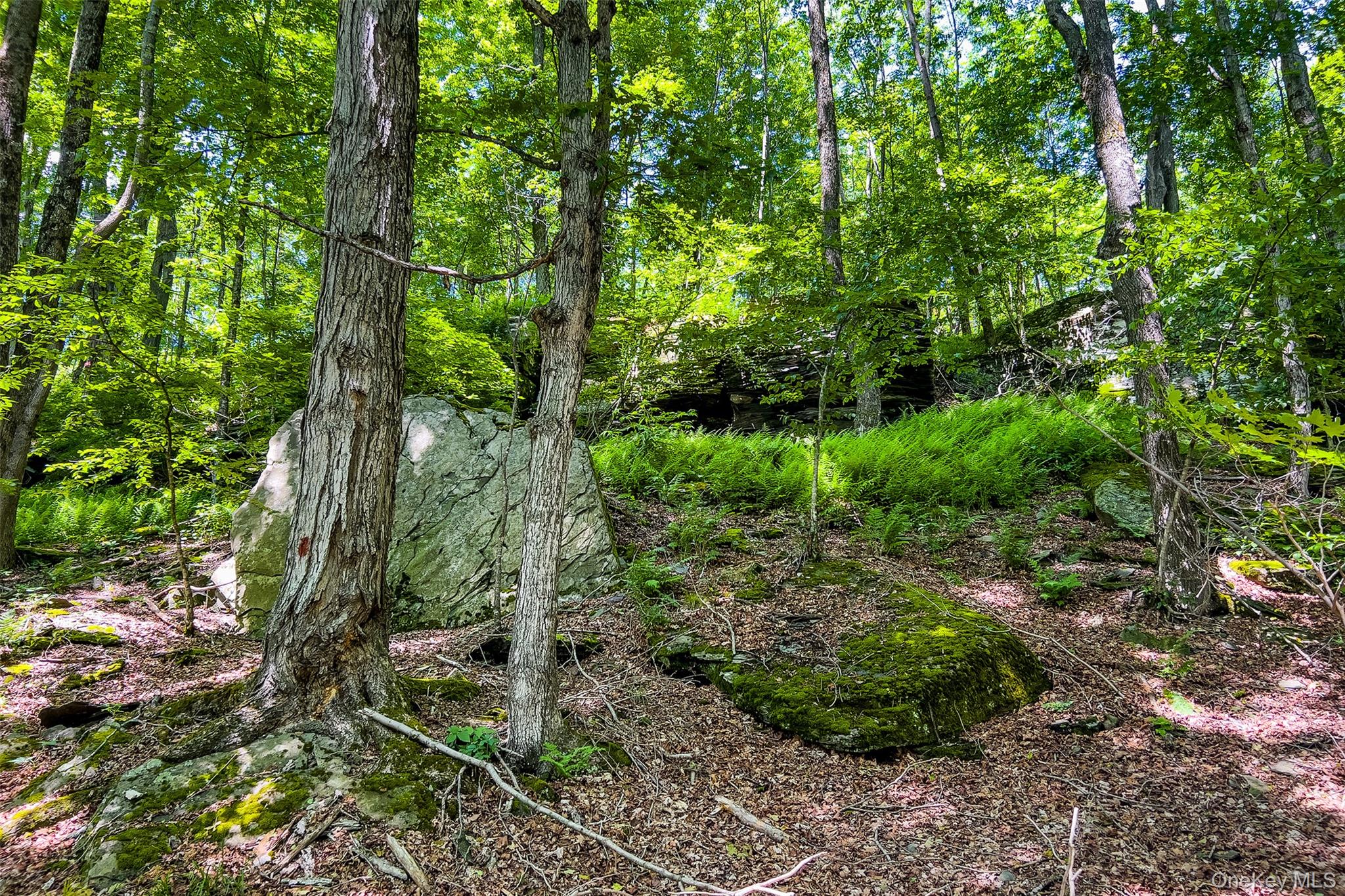 61 Fusco Drive Property Photo 46