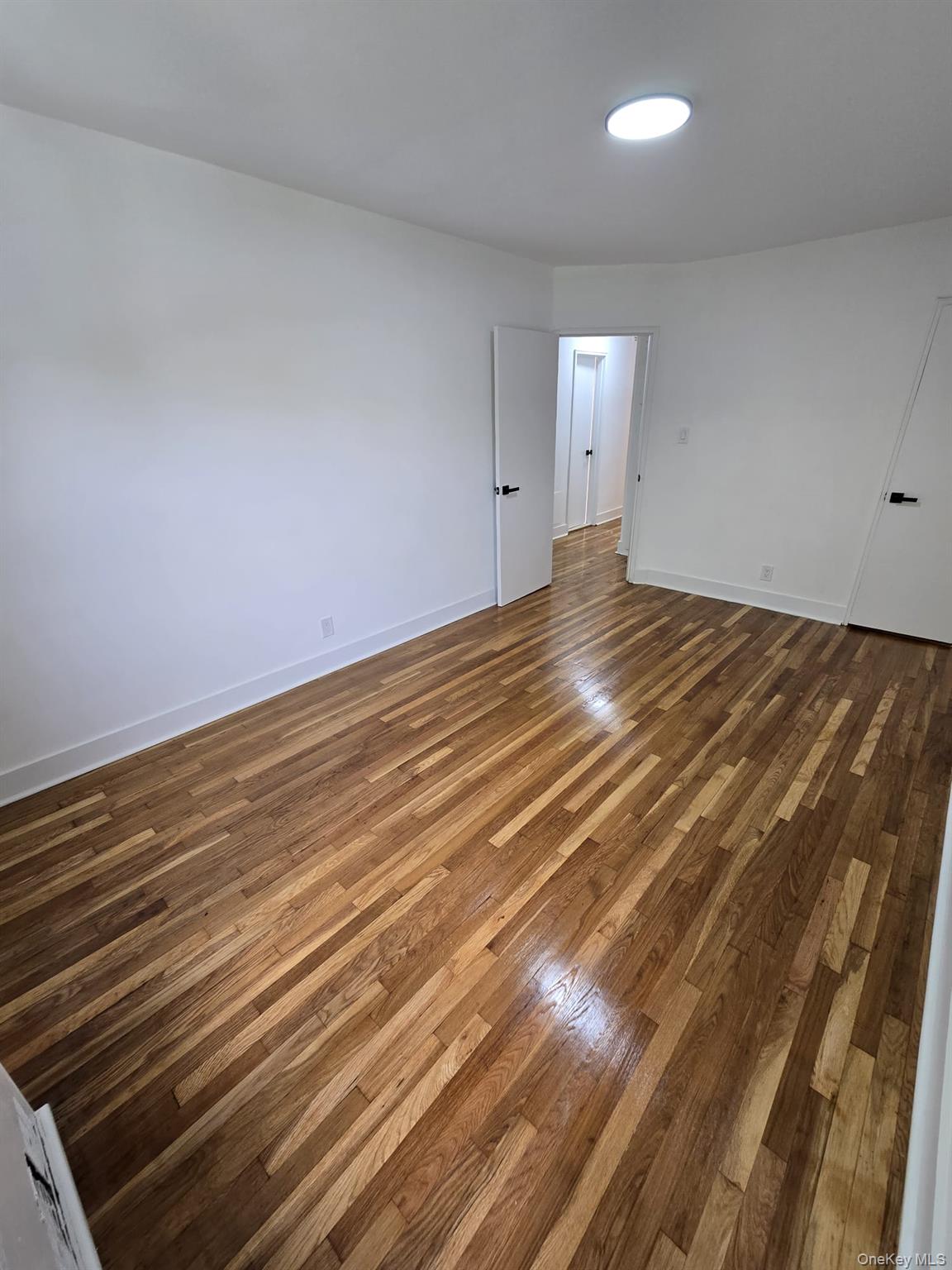 1161 E 101st Street Property Photo 17
