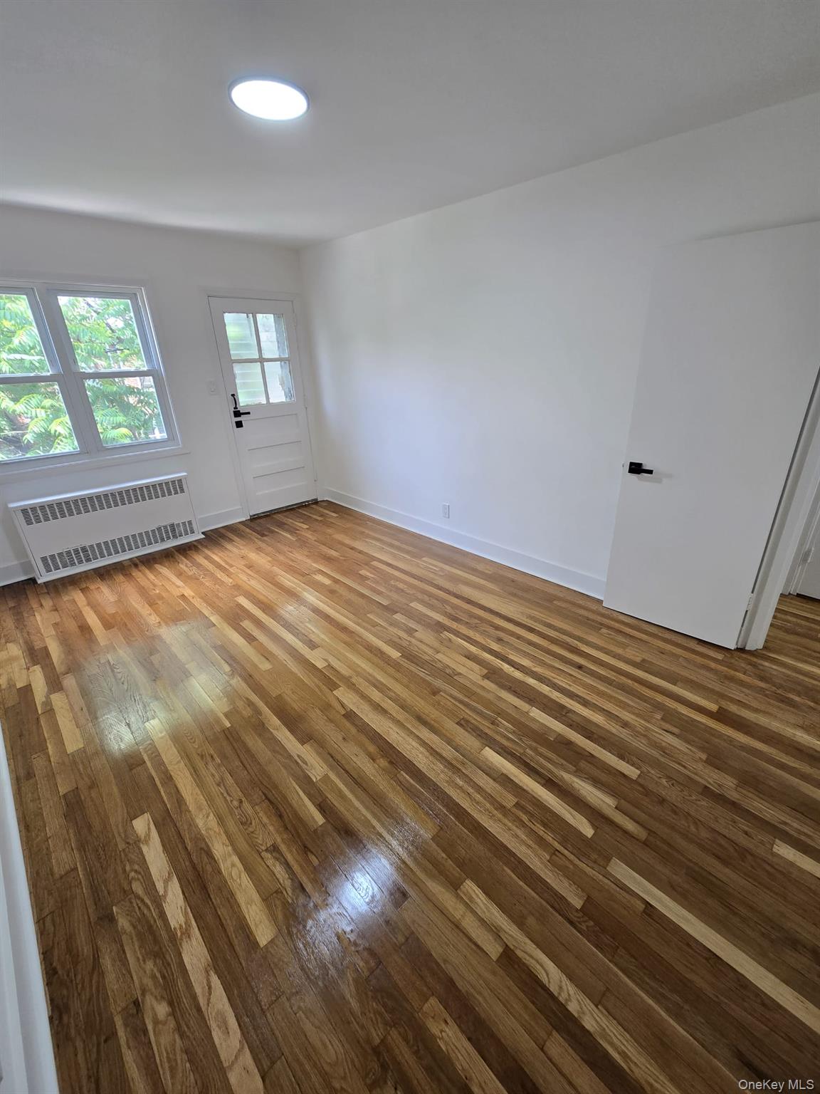 1161 E 101st Street Property Photo 18