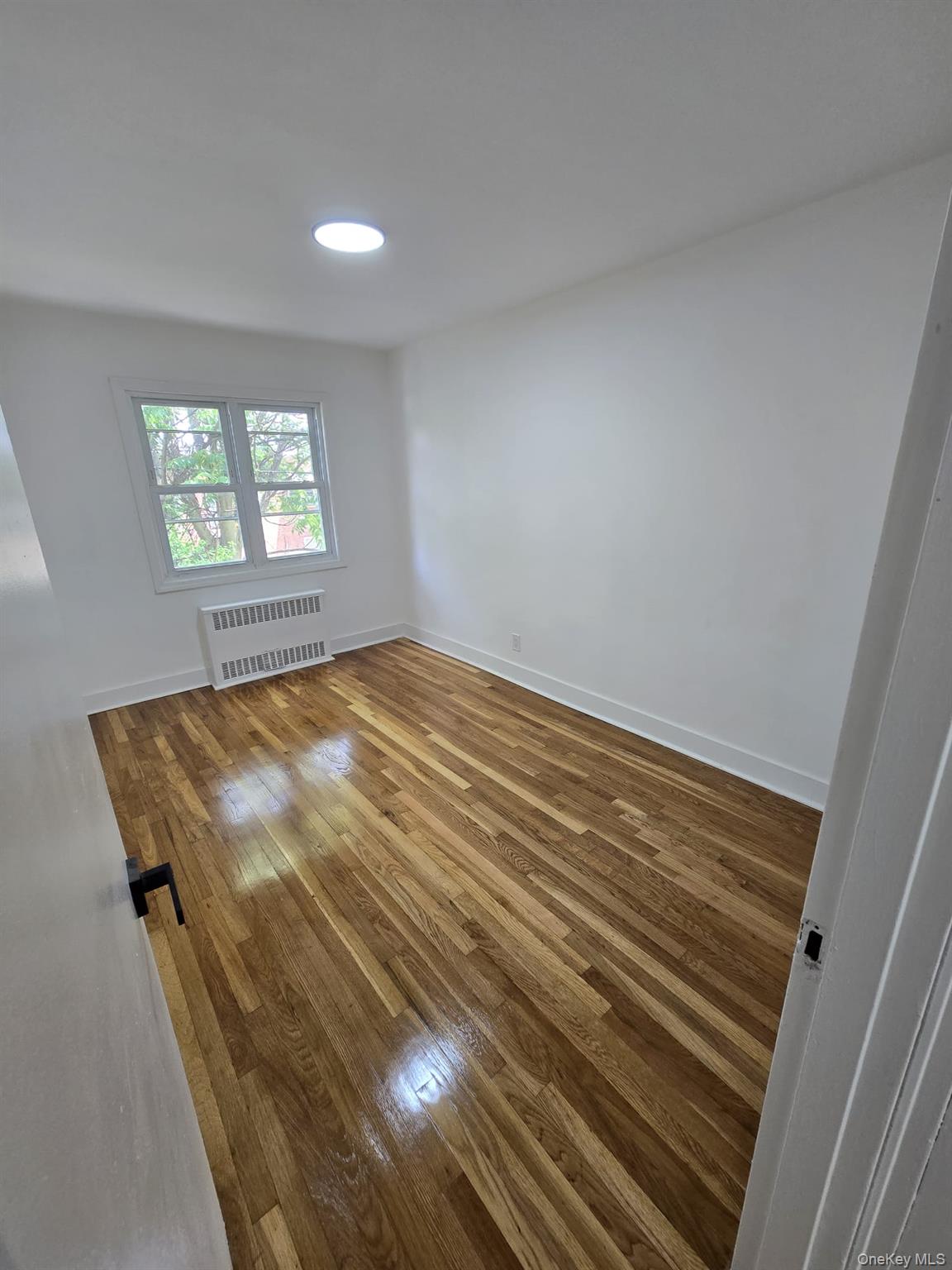 1161 E 101st Street Property Photo 20