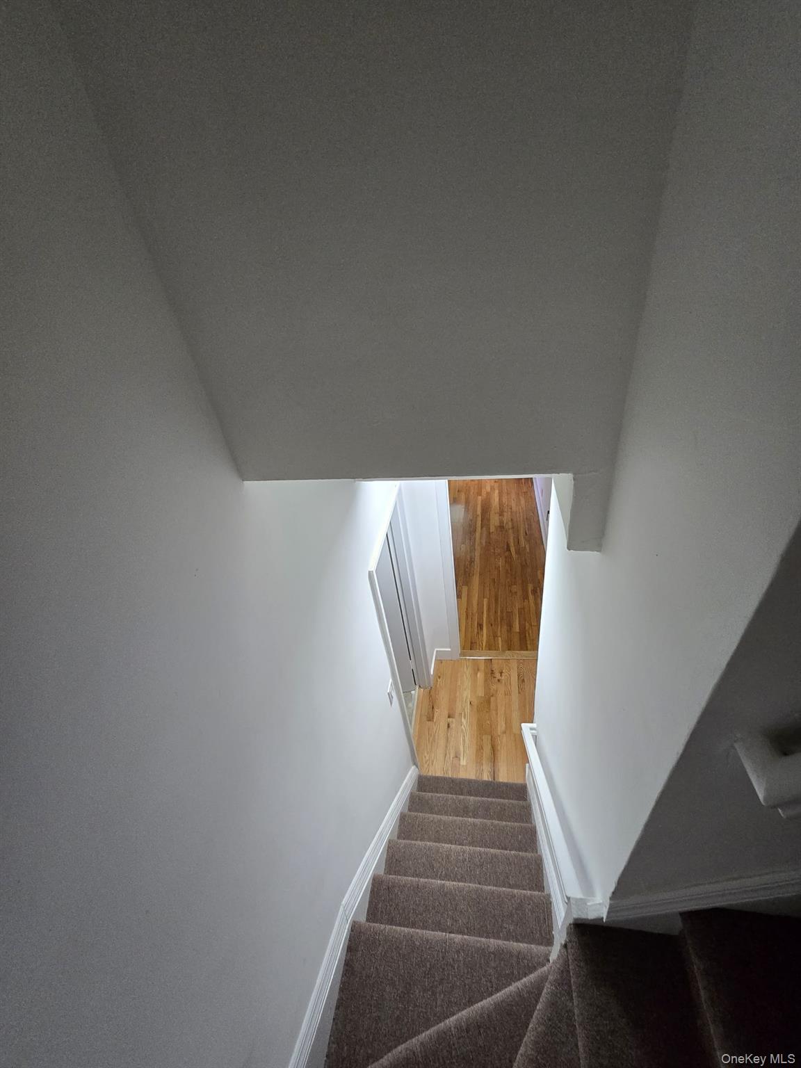 1161 E 101st Street Property Photo 23