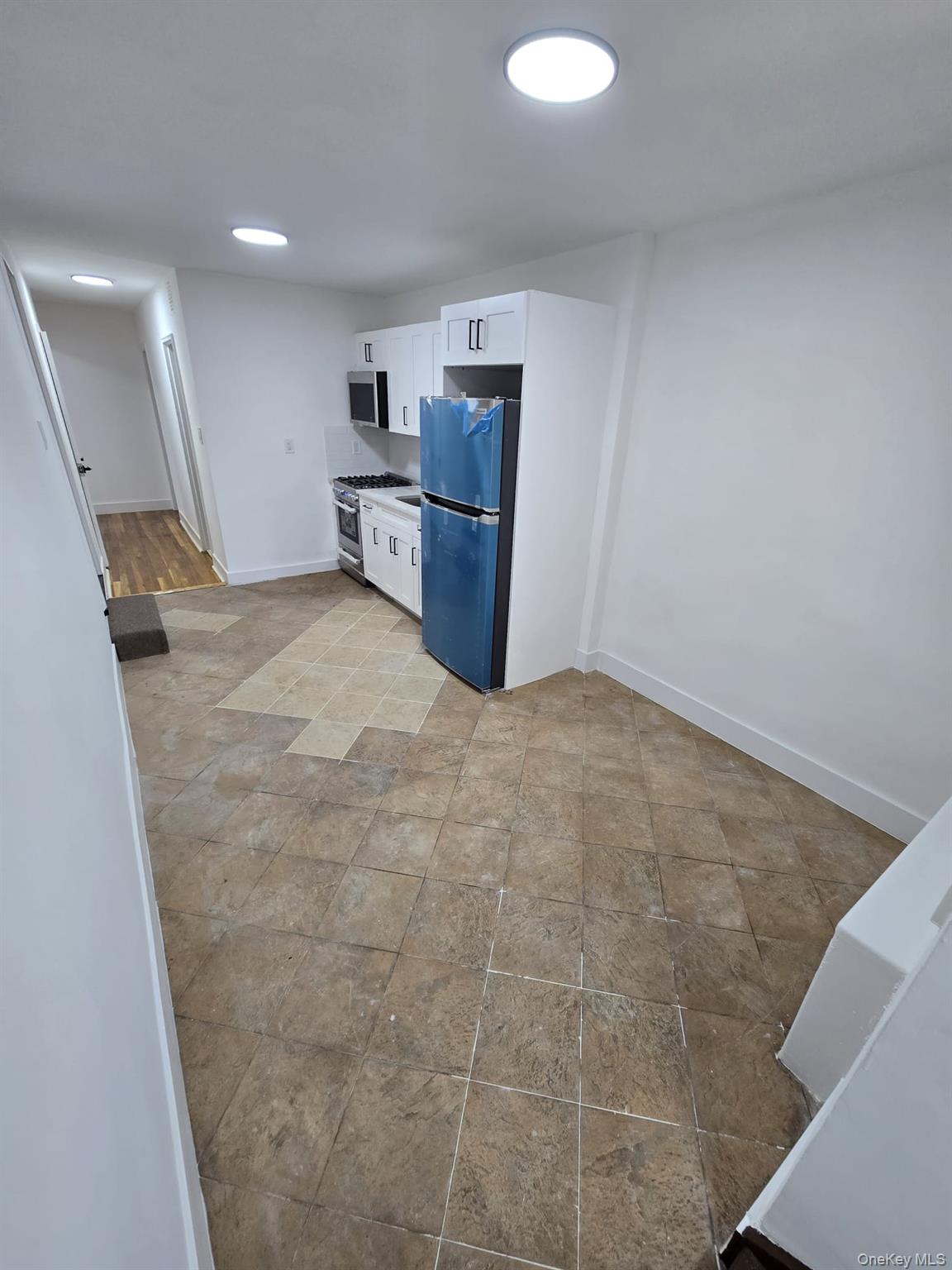 1161 E 101st Street Property Photo 24