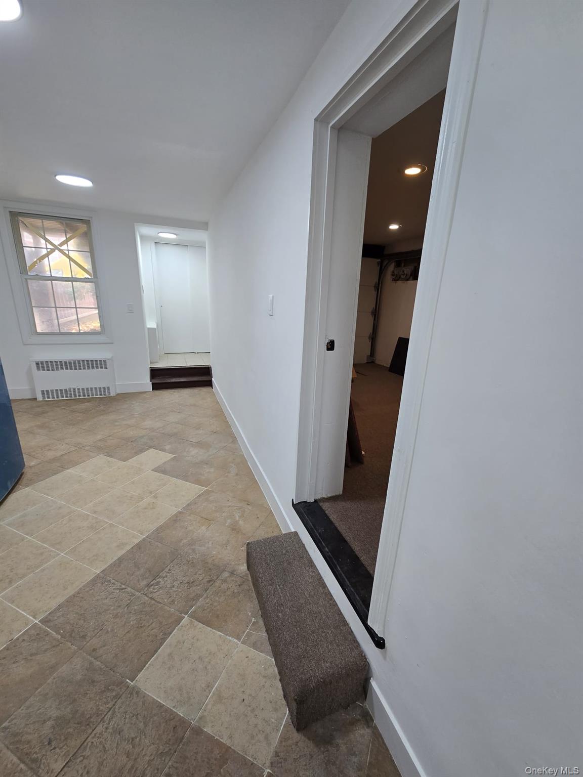 1161 E 101st Street Property Photo 27