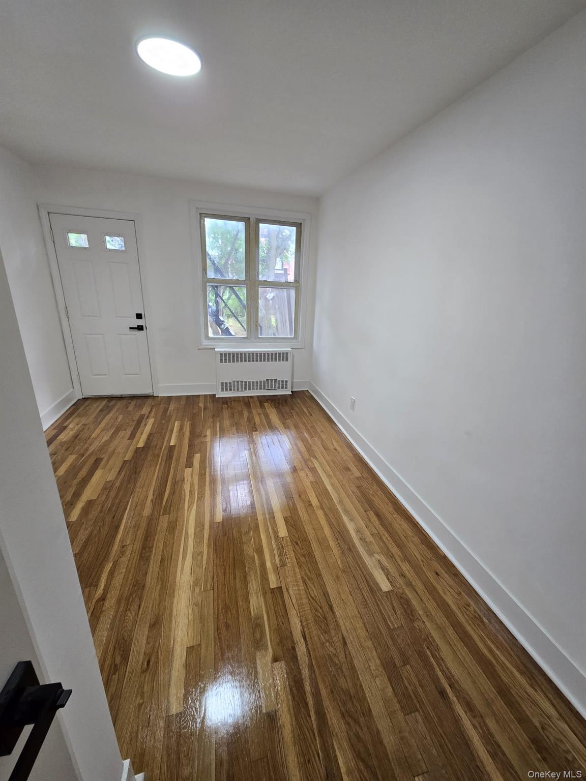 1161 E 101st Street Property Photo 34