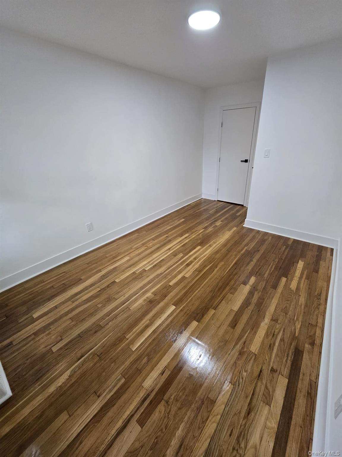 1161 E 101st Street Property Photo 35