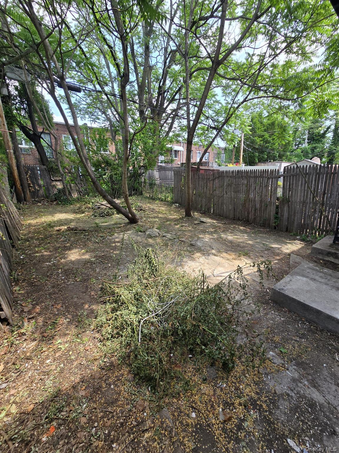1161 E 101st Street Property Photo 45