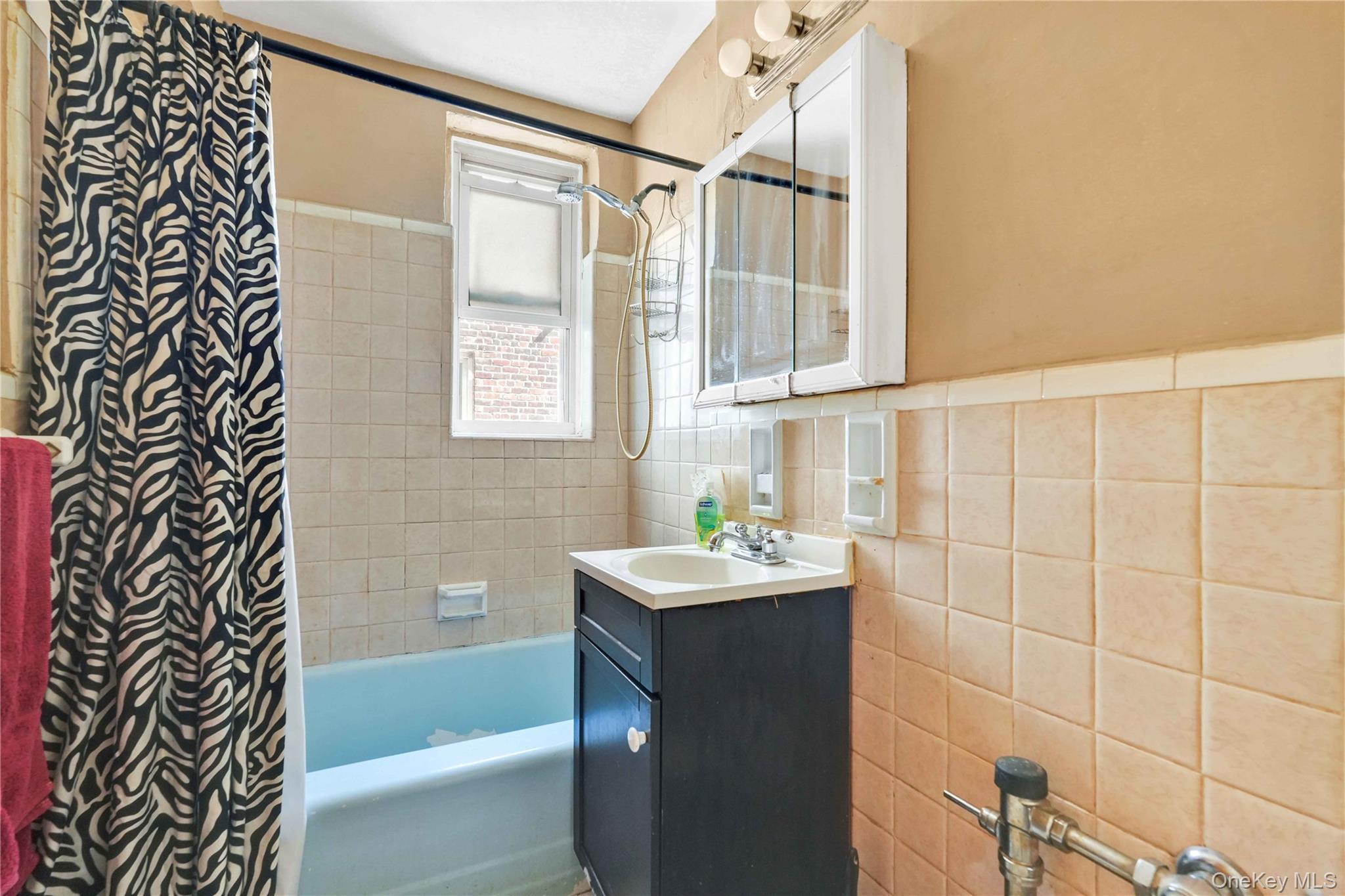 3203 Nostrand Avenue 5j Property Photo 13