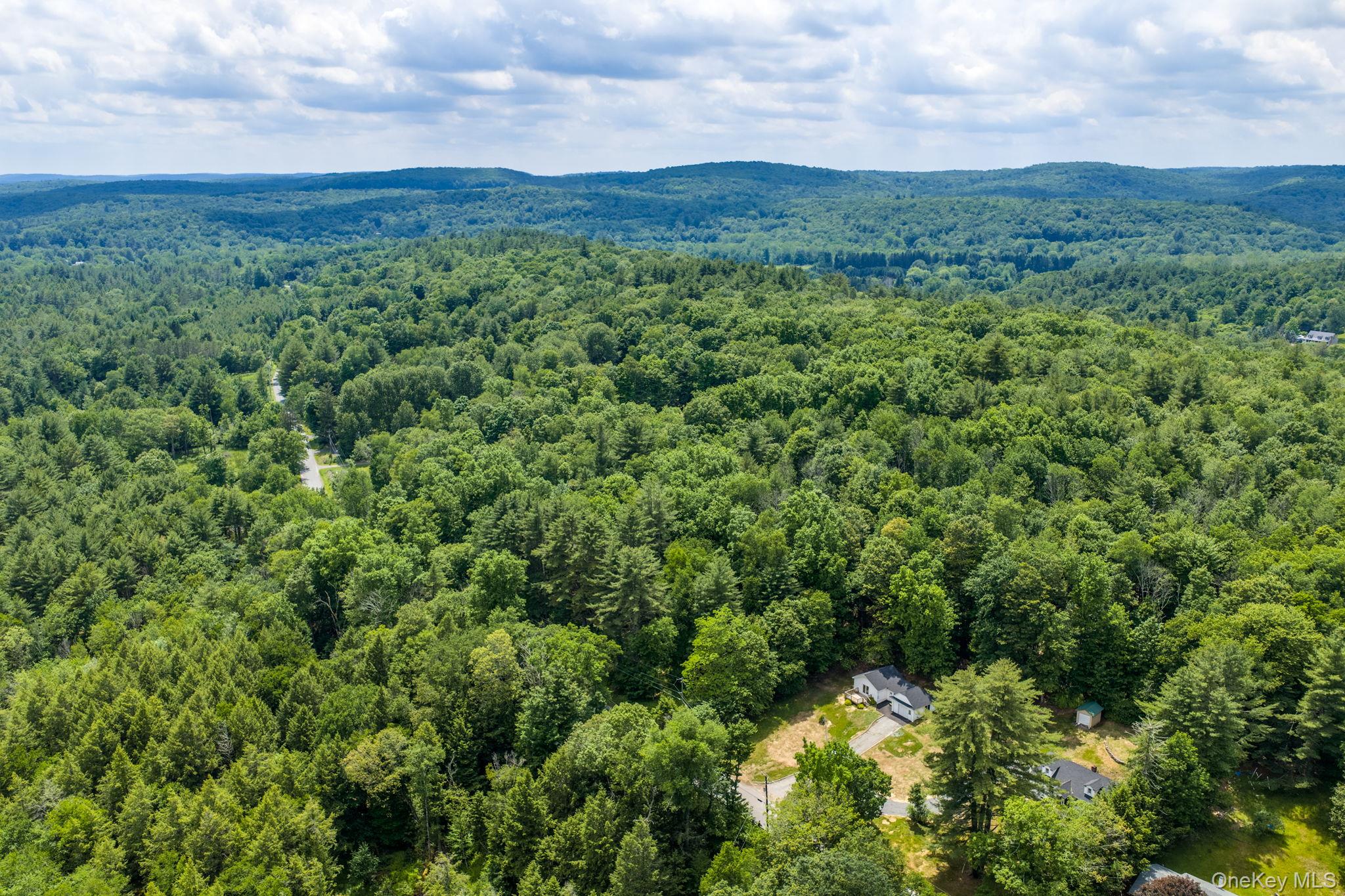 810 Benton Hollow Road Property Photo 46