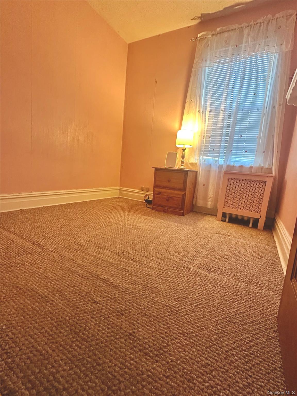 10048 222nd Street Property Photo 27