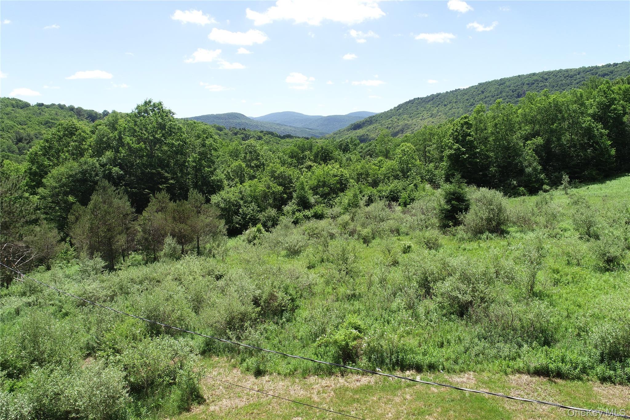 2636 Murphy Hill Road Property Photo 3