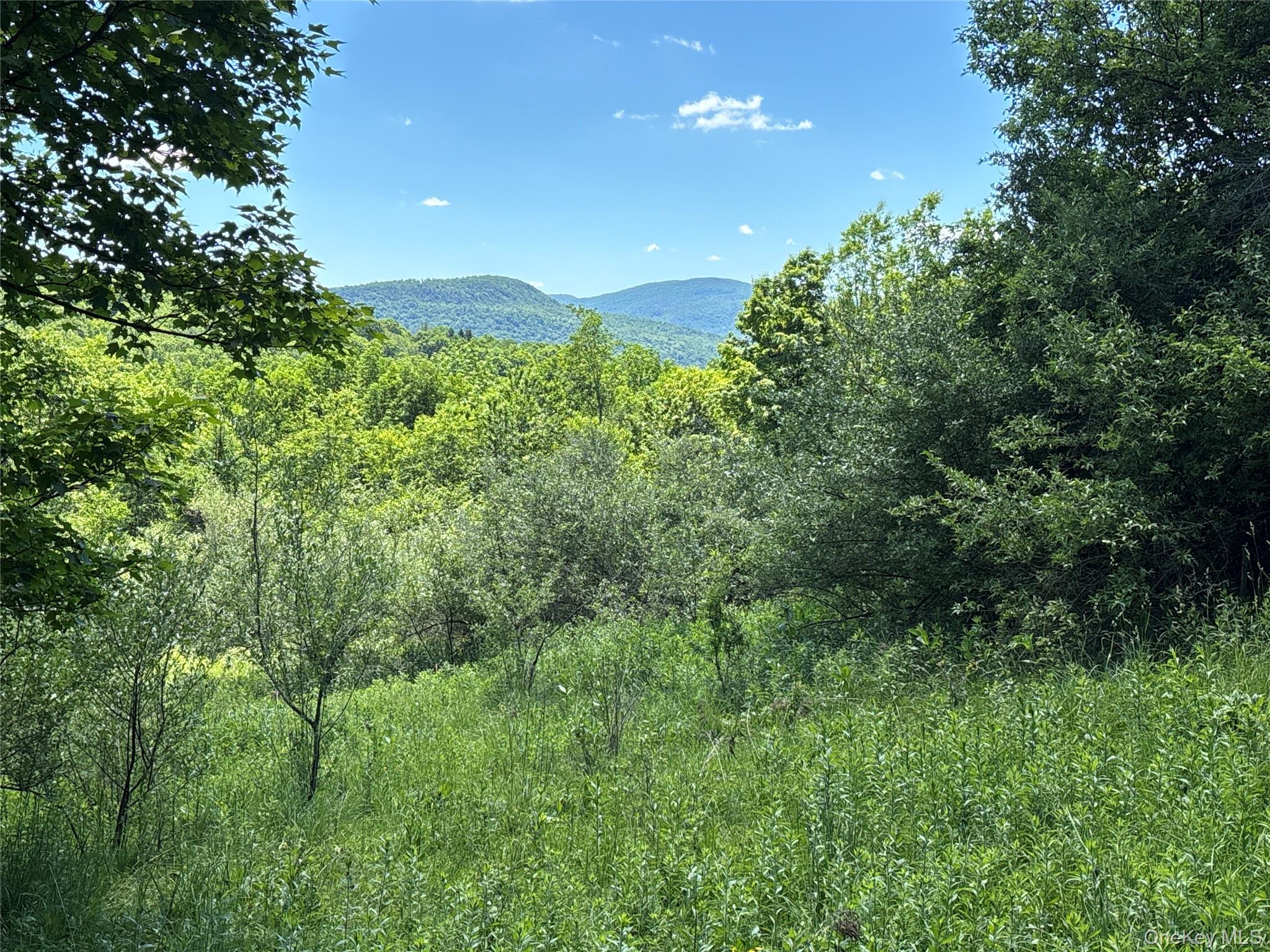 2636 Murphy Hill Road Property Photo 18