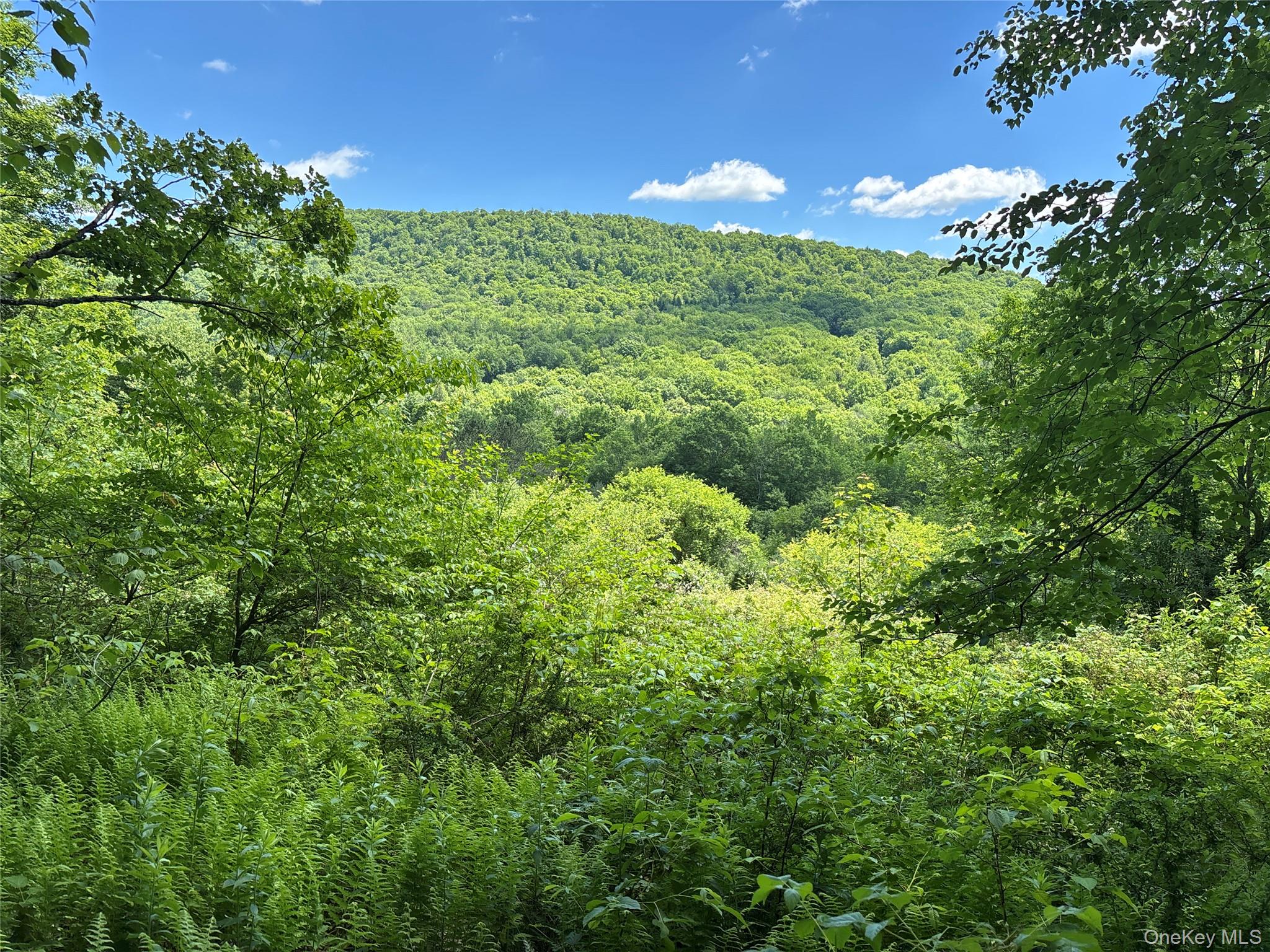 2636 Murphy Hill Road Property Photo 22
