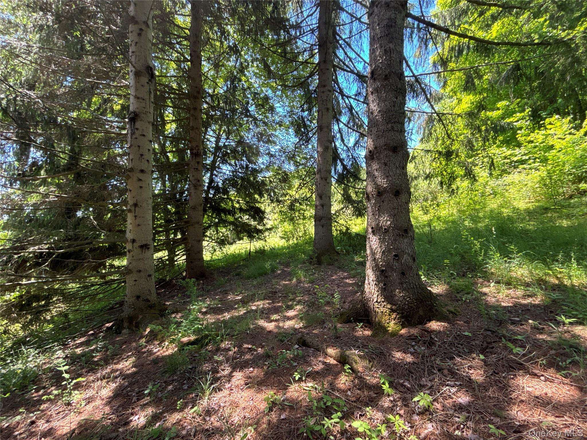 2636 Murphy Hill Road Property Photo 29