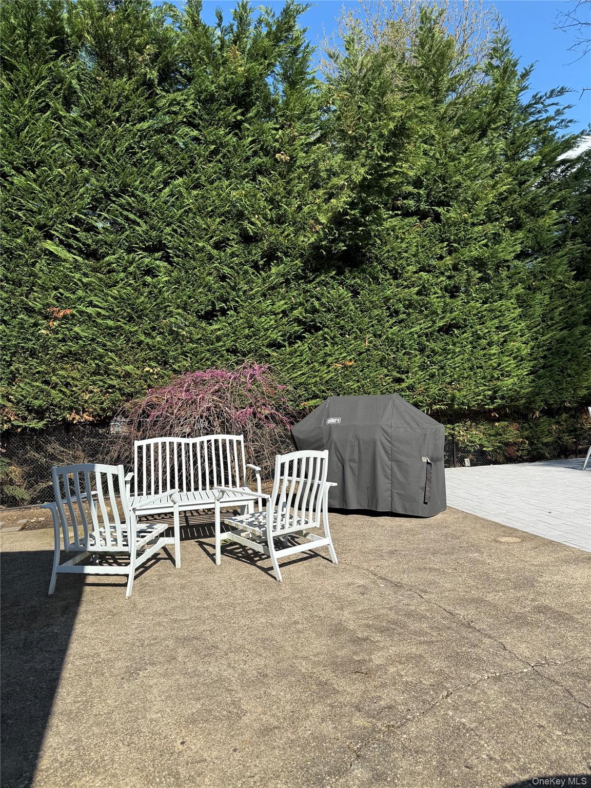 43 Marian Lane Property Photo 19