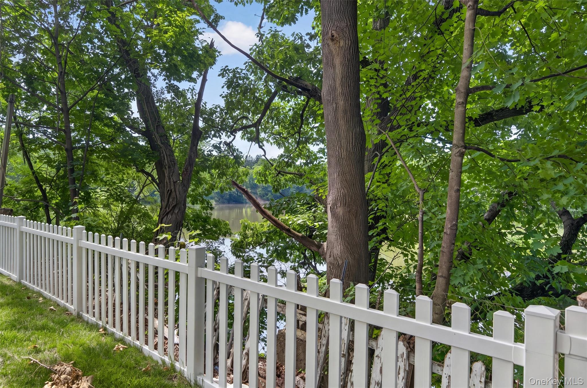 117 Orchard Street Property Photo 48
