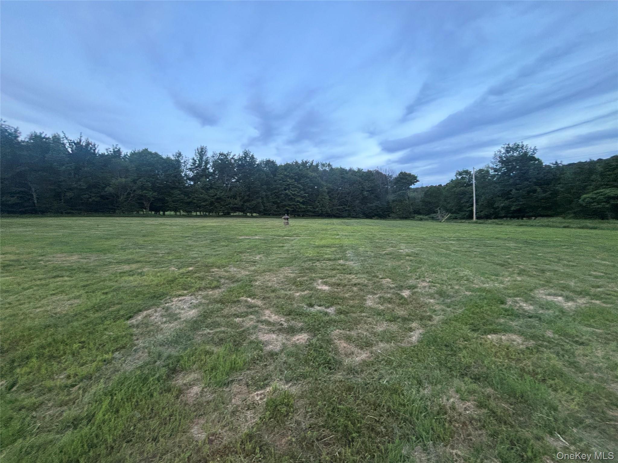 1013 Campbell Road Property Photo 26