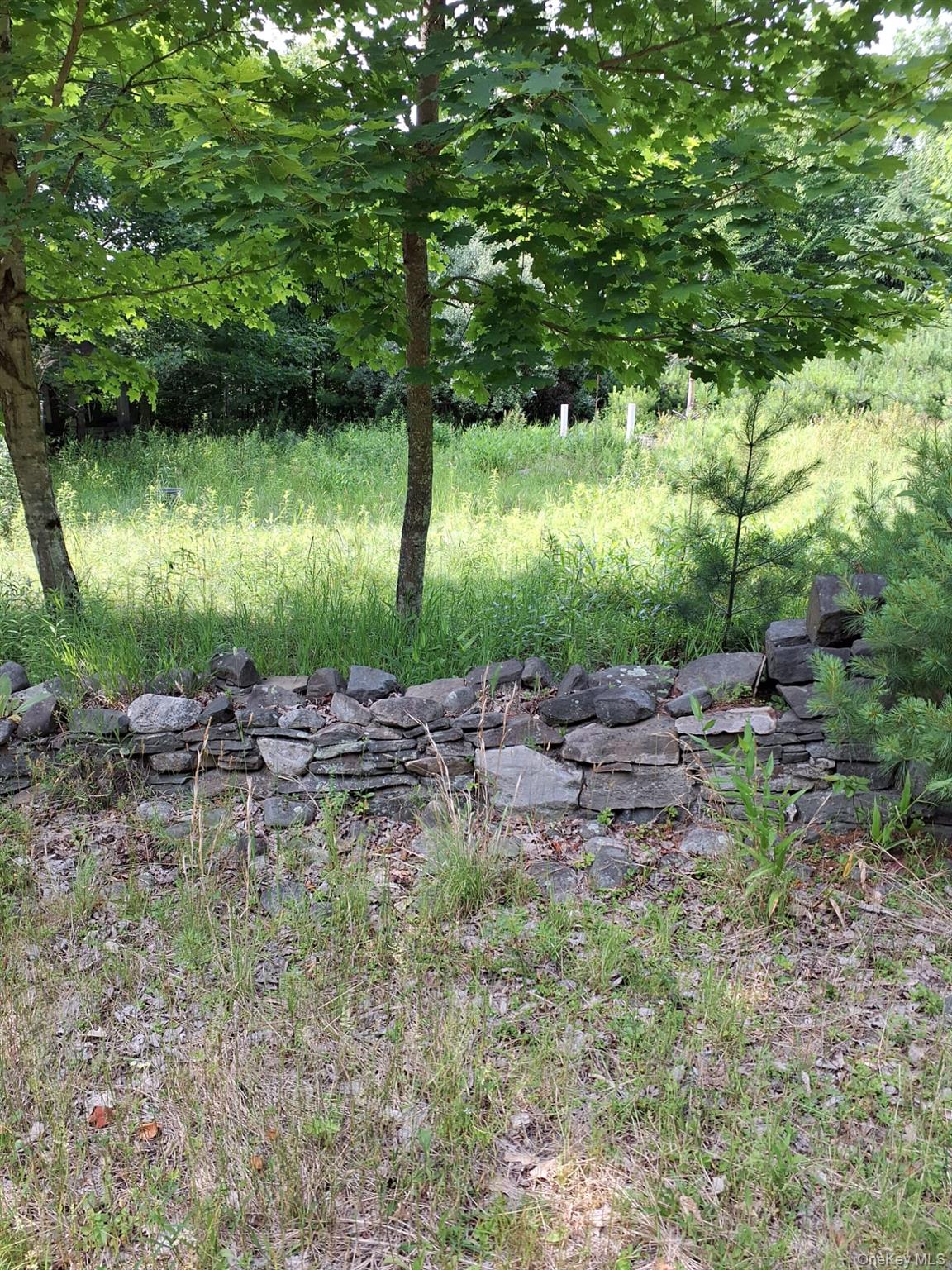 96 Hasbrouck Road Property Photo 2
