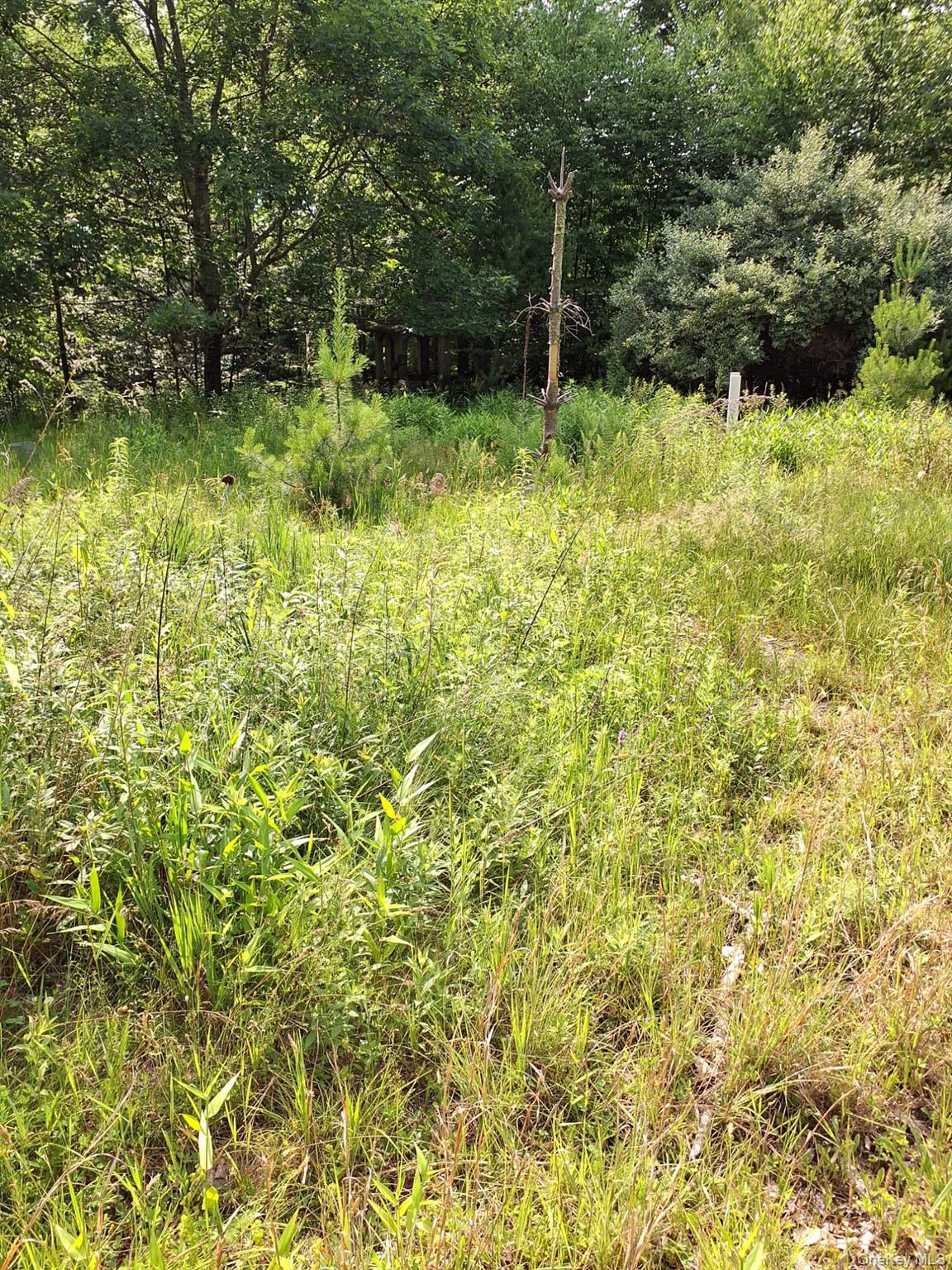 96 Hasbrouck Road Property Photo 10