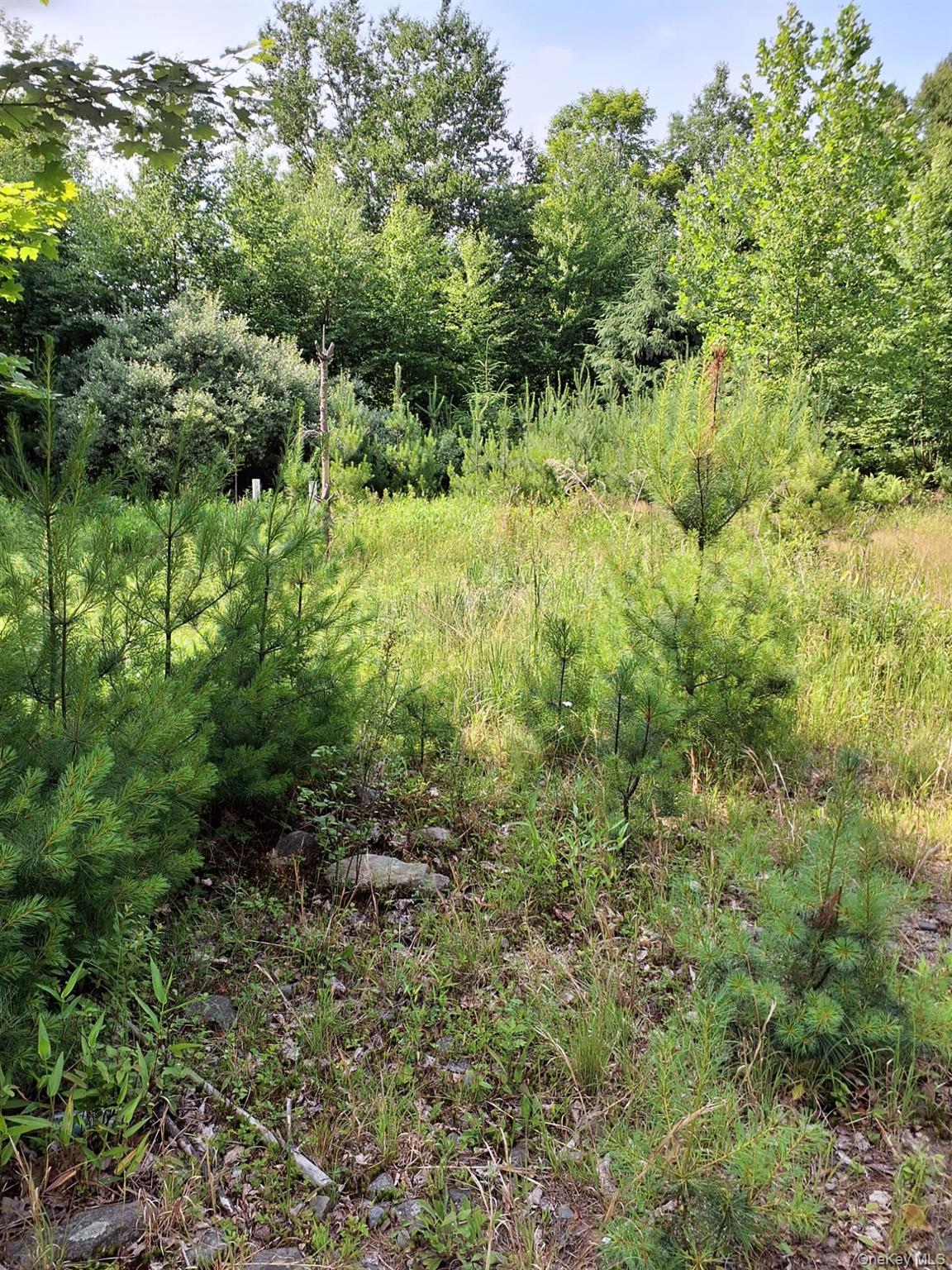 96 Hasbrouck Road Property Photo 11