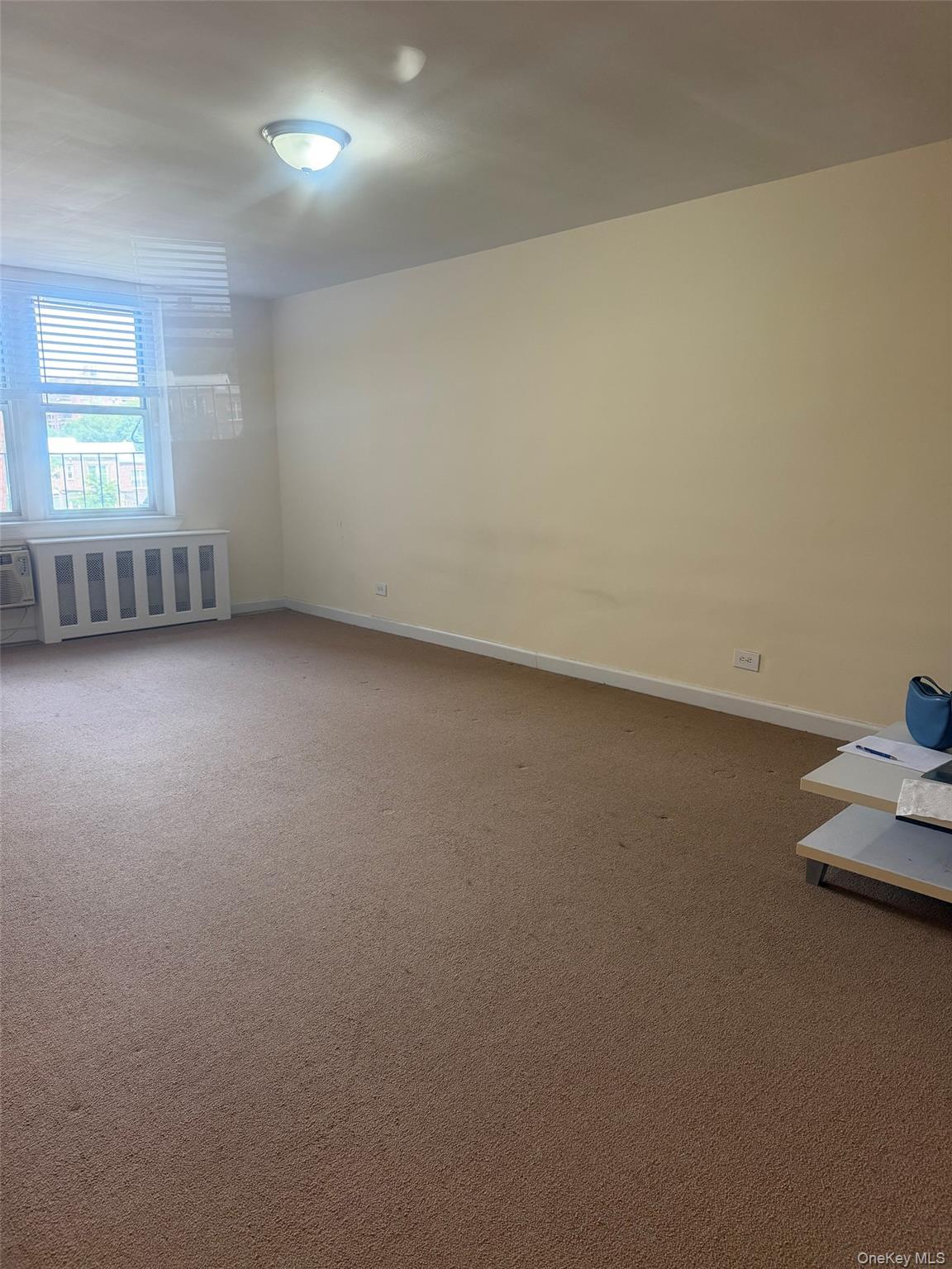 67-41 Burns Street 417 Property Photo 2