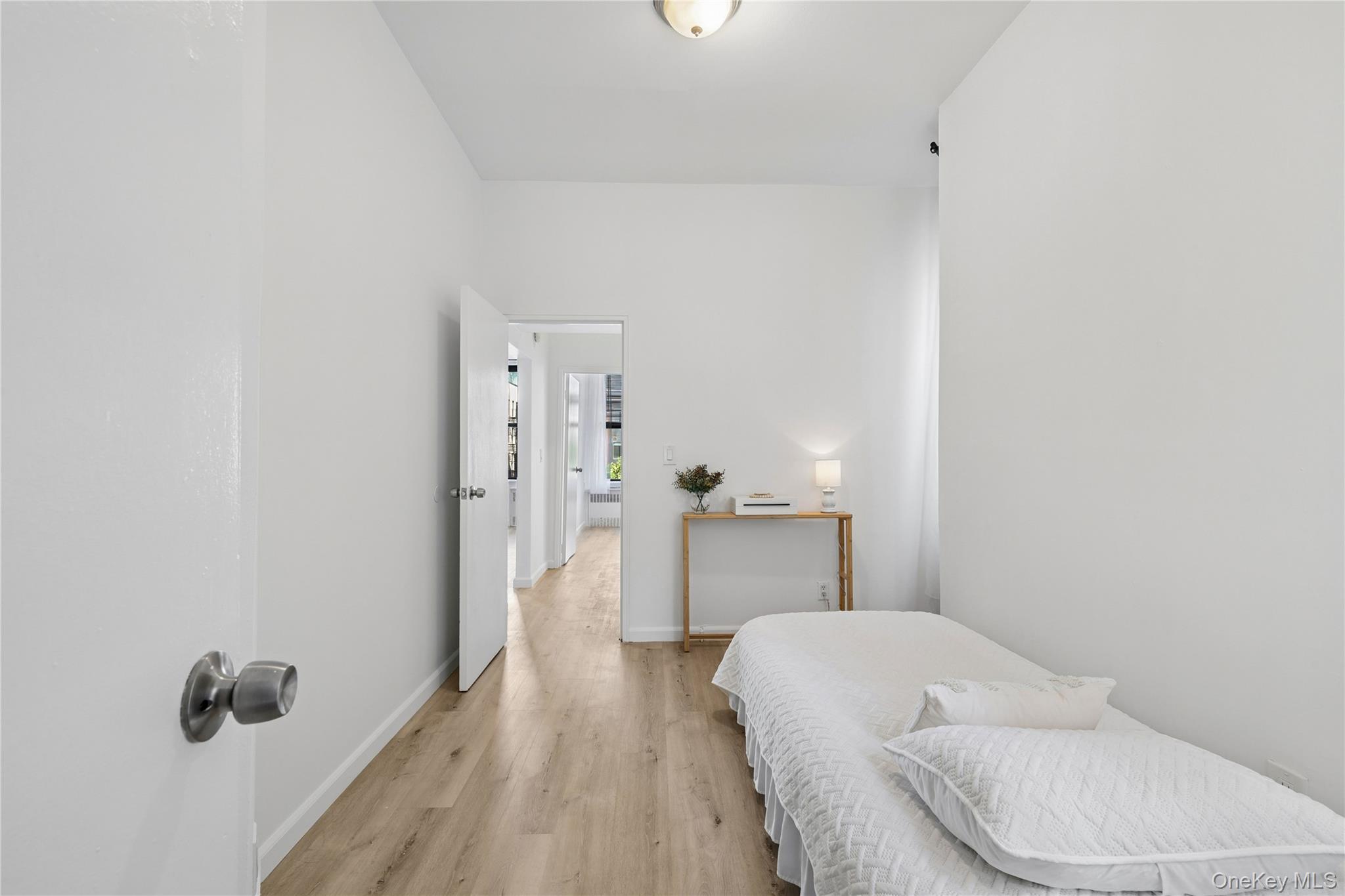 169 Allen Street 4a Property Photo 11