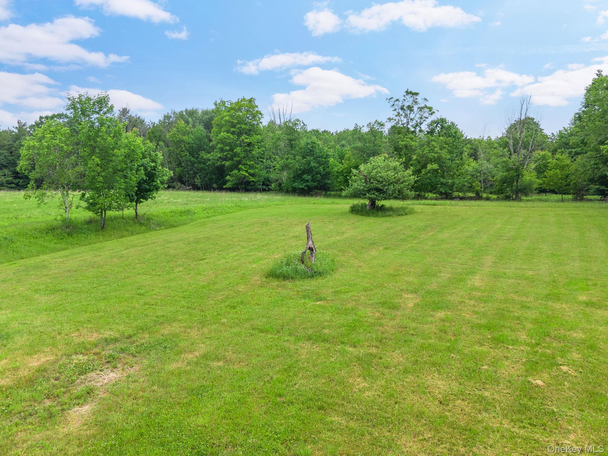 159 Ely Rd, Gilboa Ny Property Photo 33