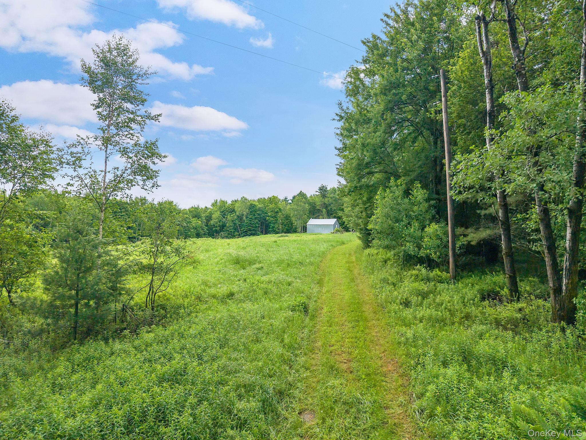 159 Ely Rd, Gilboa Ny Property Photo 38
