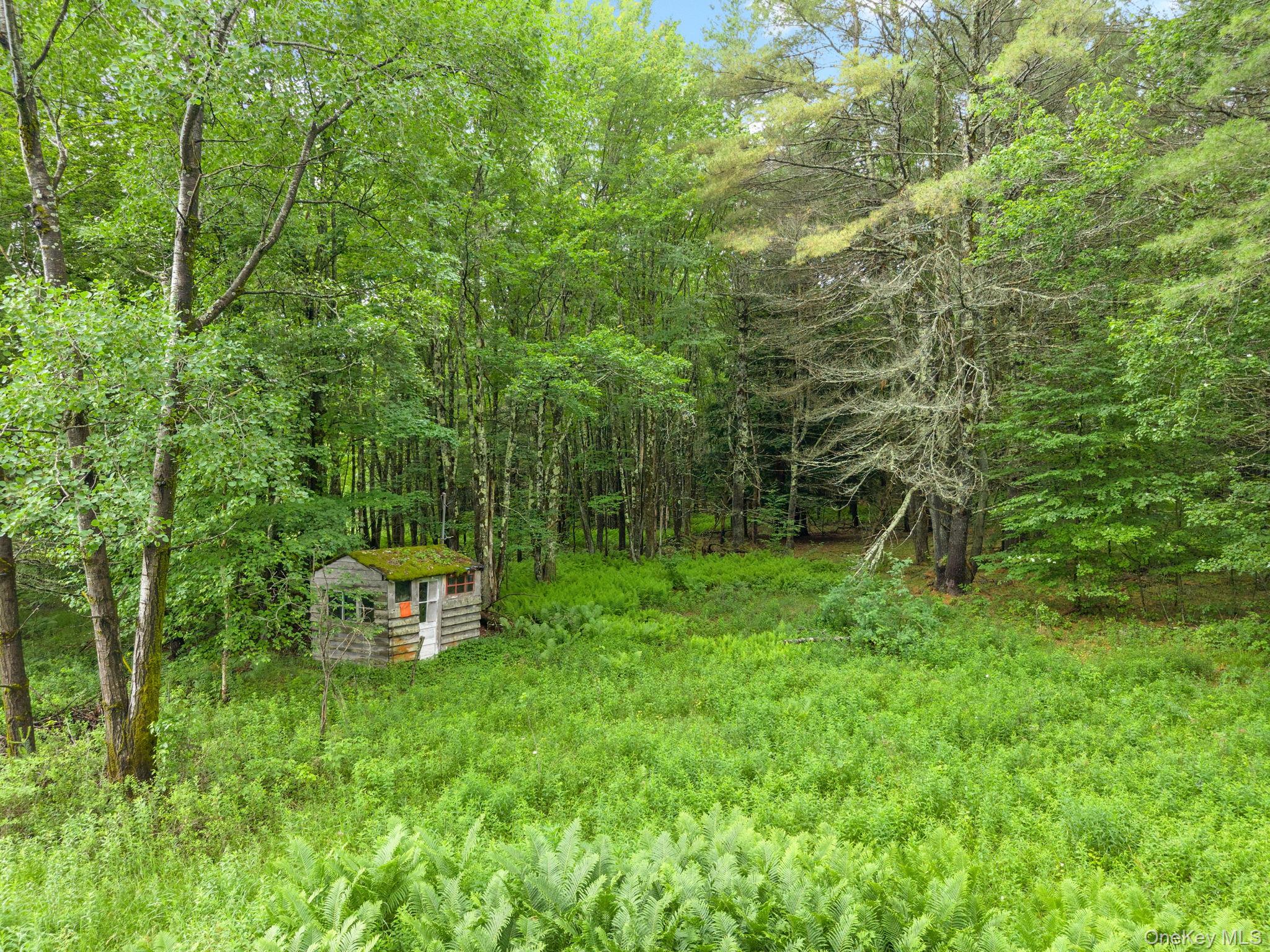 159 Ely Rd, Gilboa Ny Property Photo 39