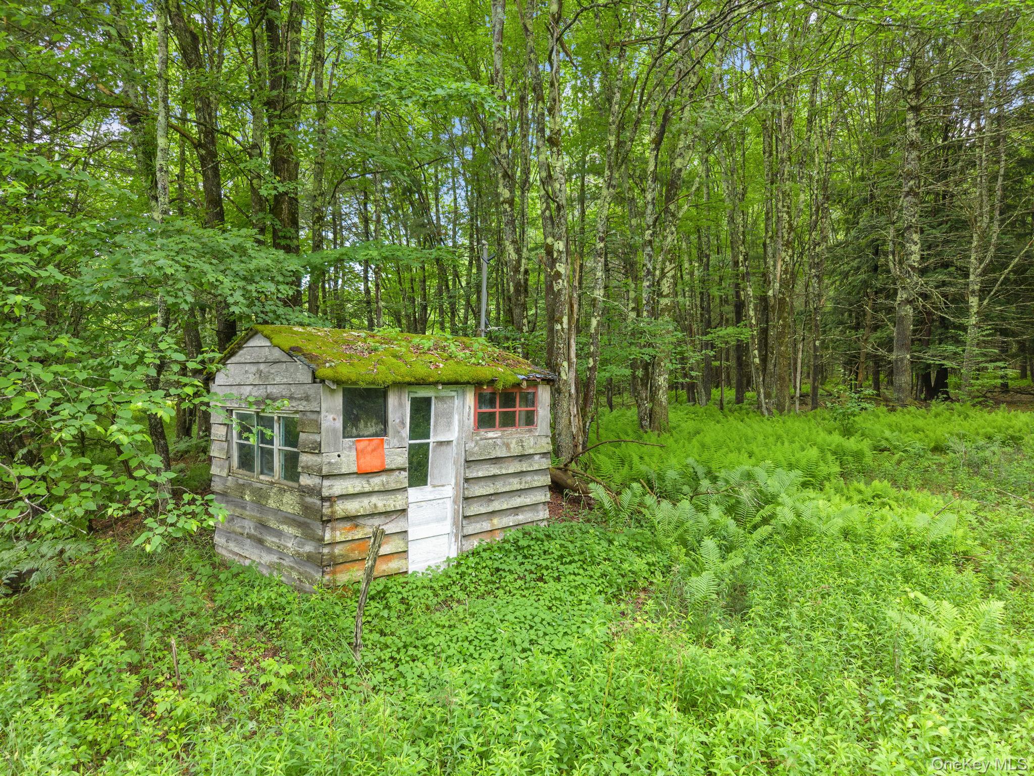 159 Ely Rd, Gilboa Ny Property Photo 40