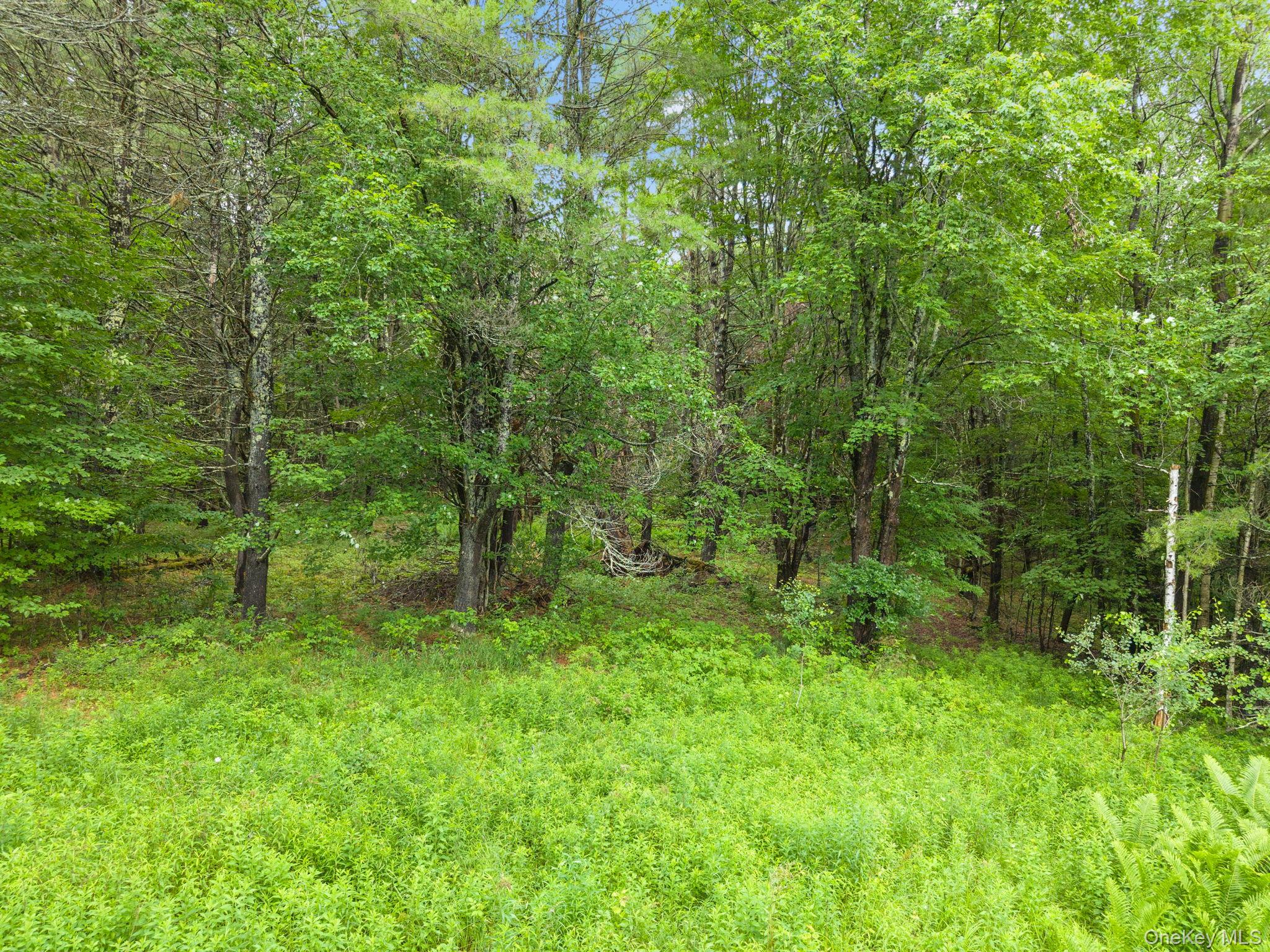 159 Ely Rd, Gilboa Ny Property Photo 41