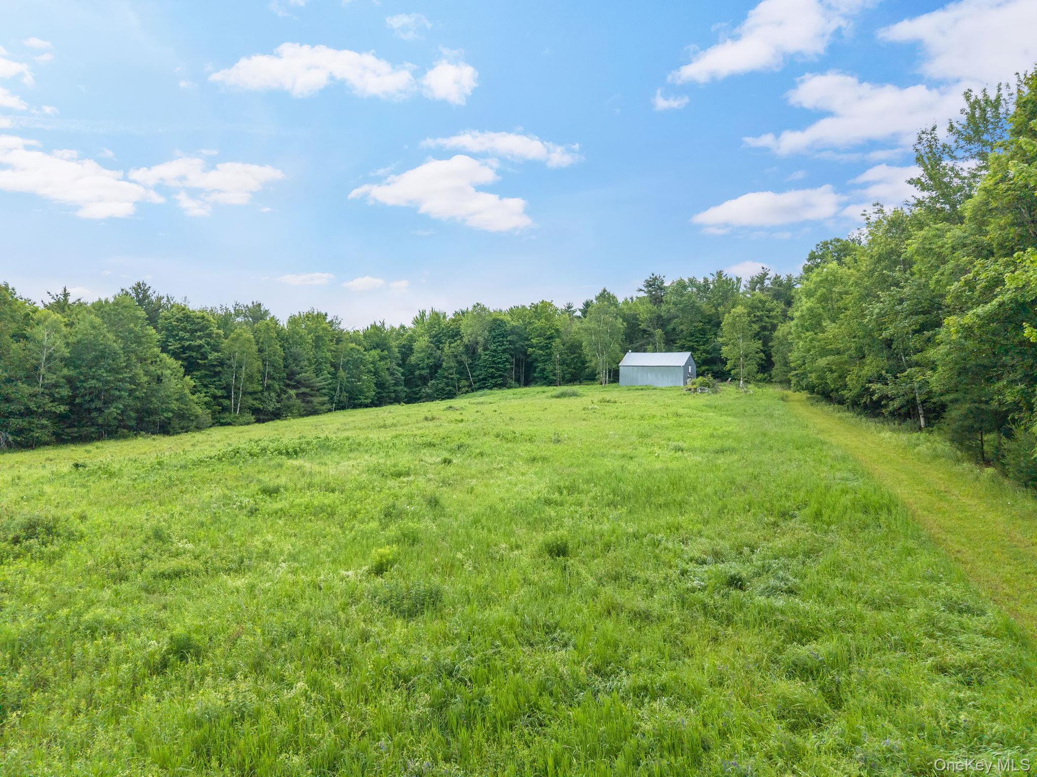 159 Ely Rd, Gilboa Ny Property Photo 42