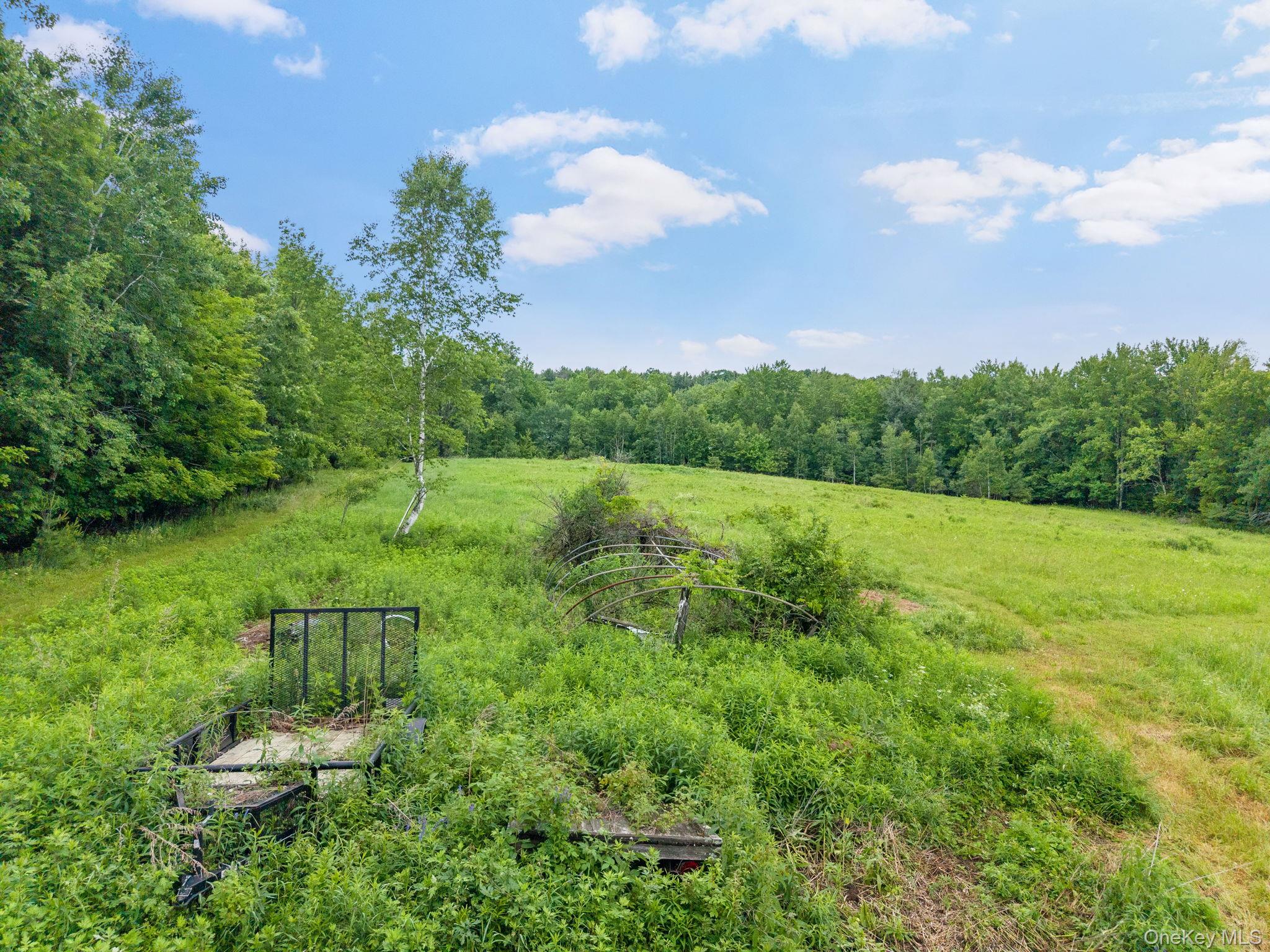 159 Ely Rd, Gilboa Ny Property Photo 44
