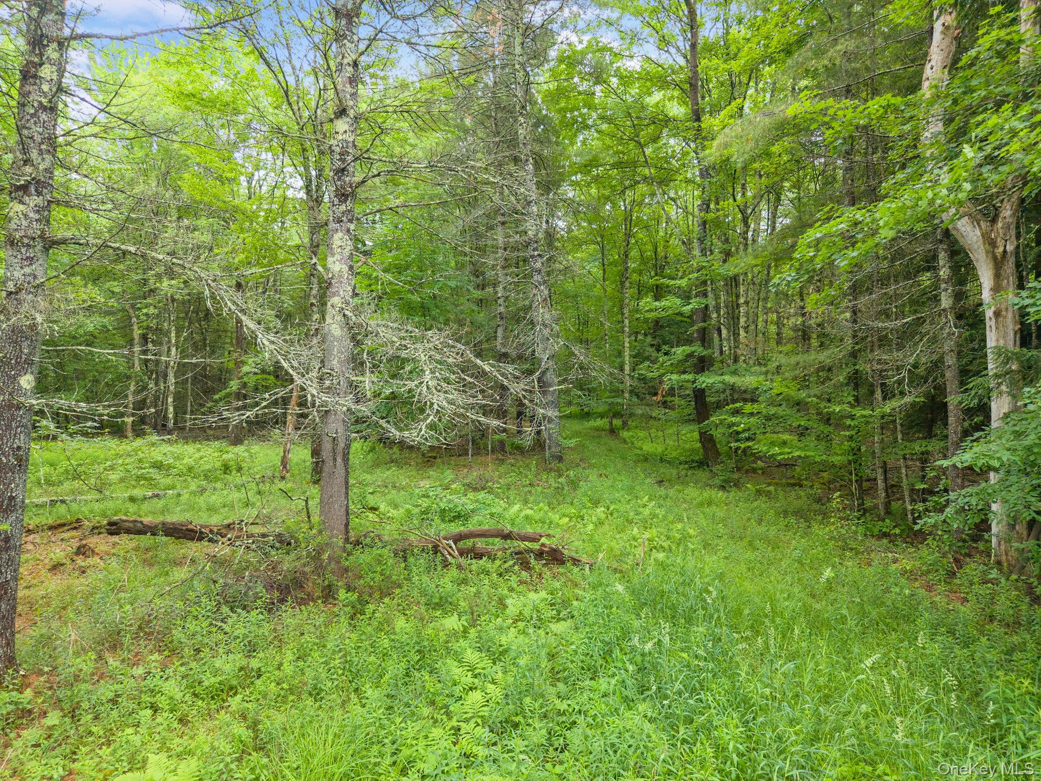 159 Ely Rd, Gilboa Ny Property Photo 45